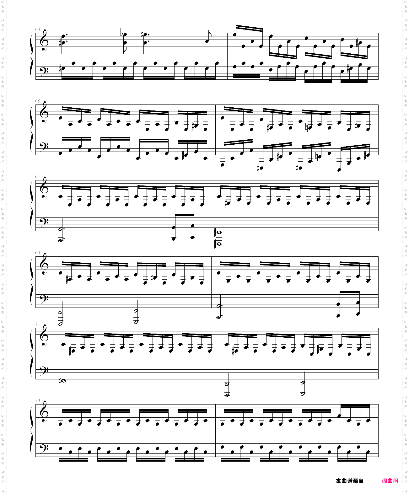 everyday-carly comando