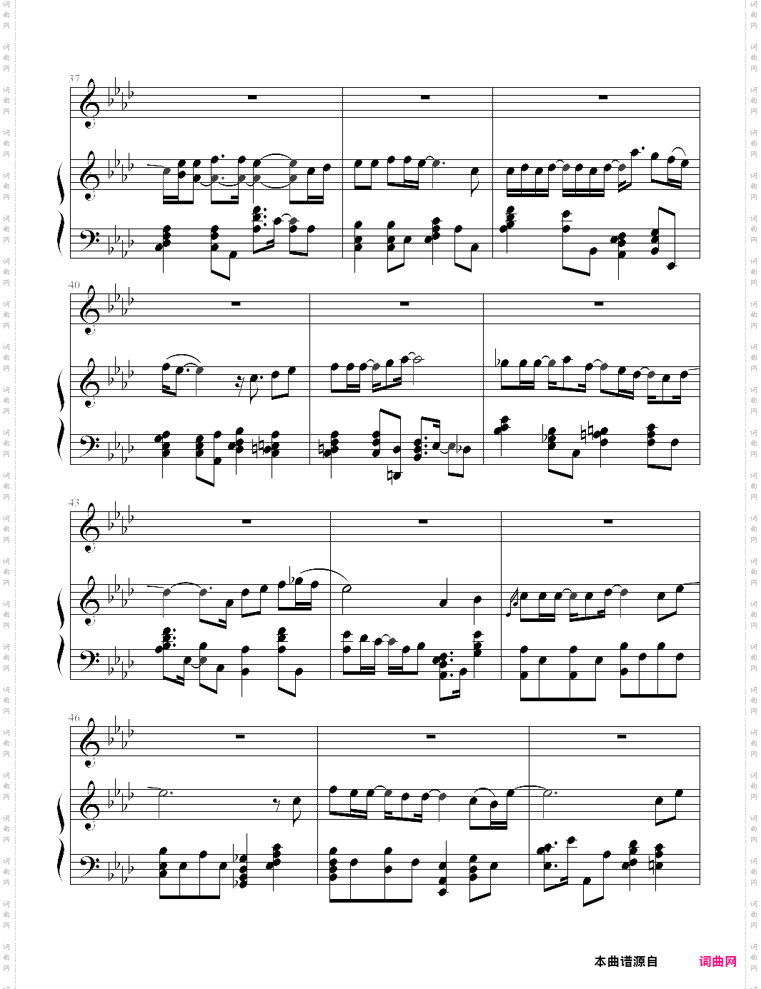 marry u-super junior