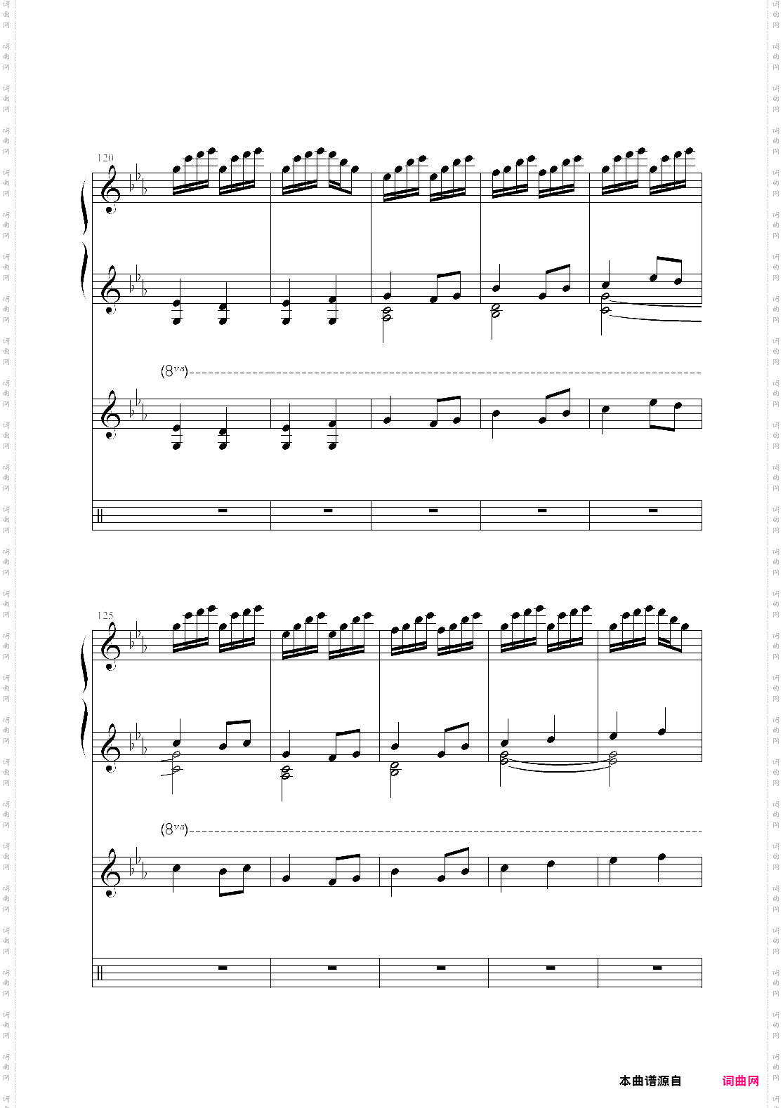 【总谱】mallow flower锦葵花