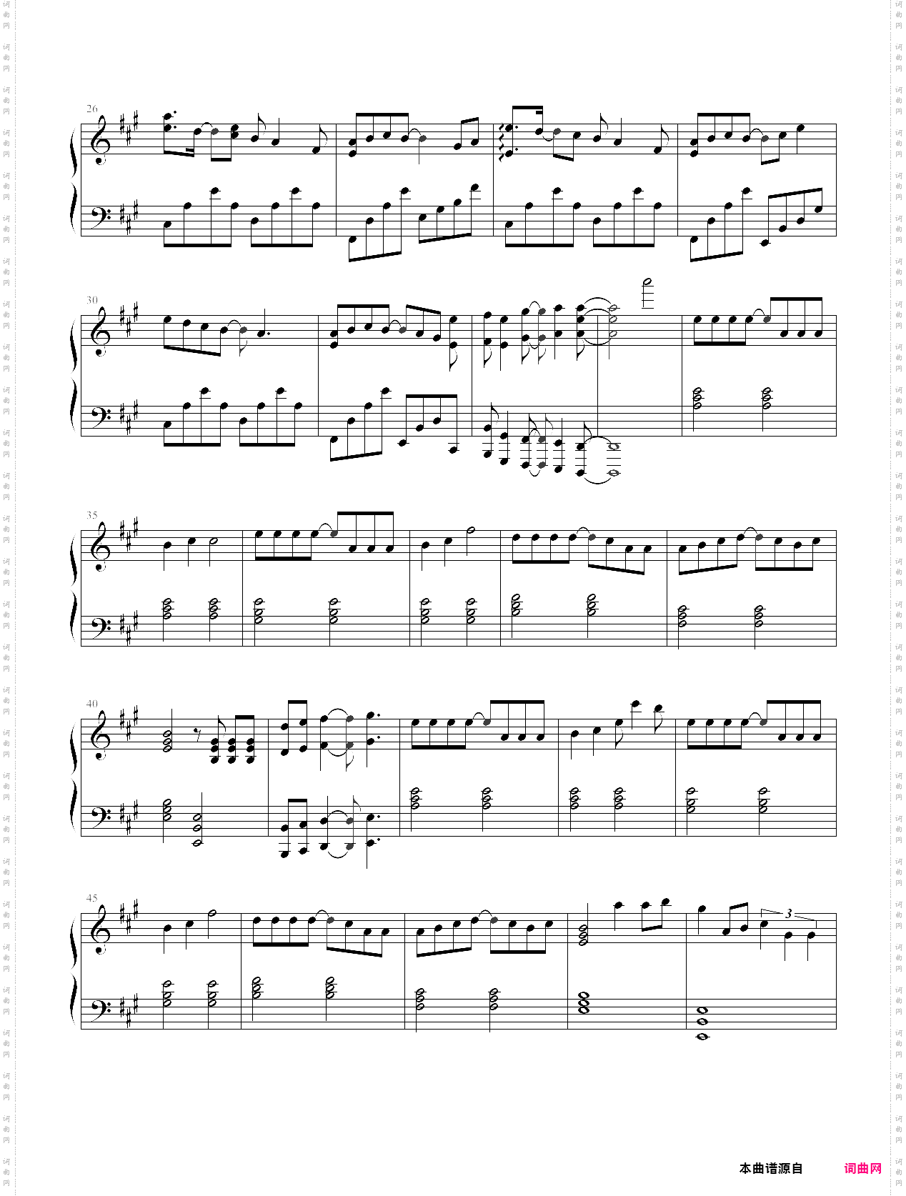 islands super junior