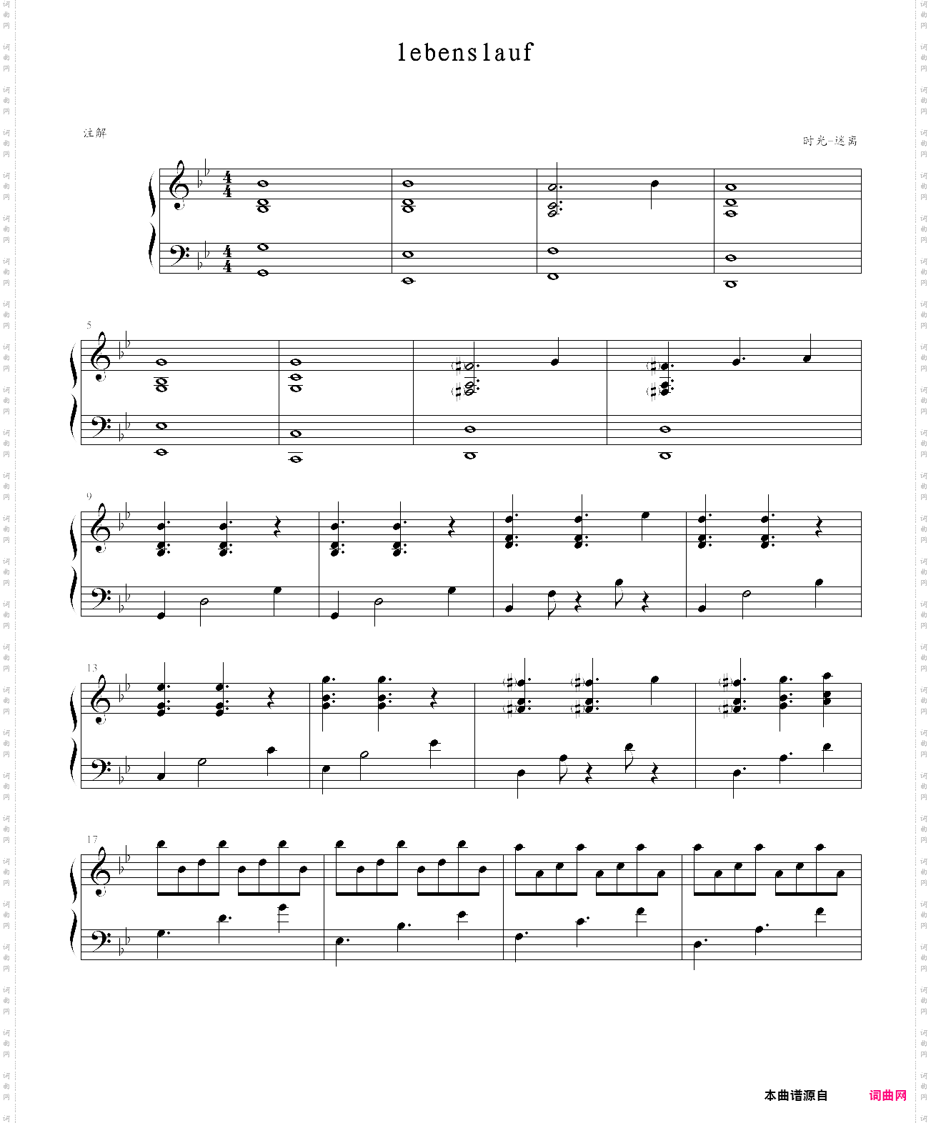 lebenslauf - steve anthony