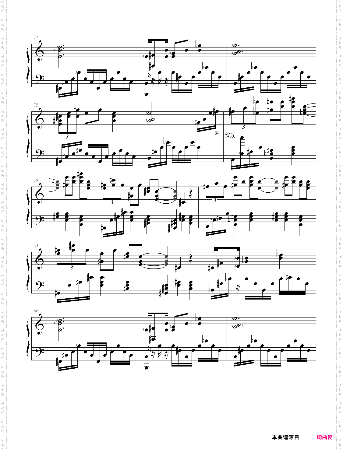 致青春 songjie no27