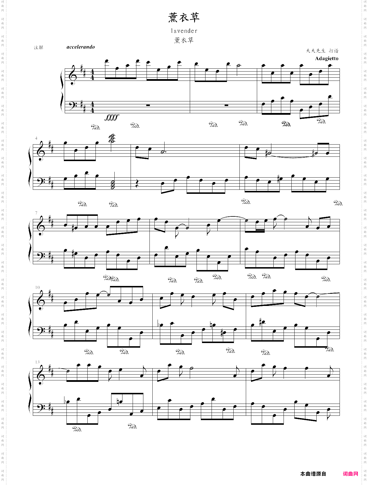 薰衣草 纯音乐