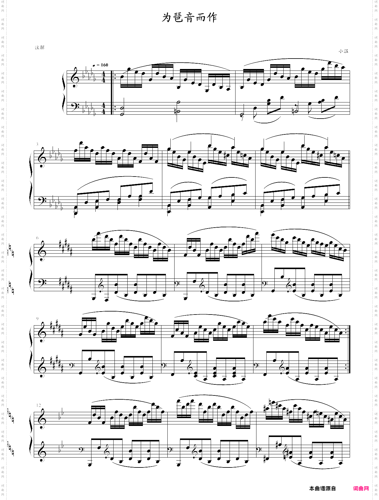 为琶音而作