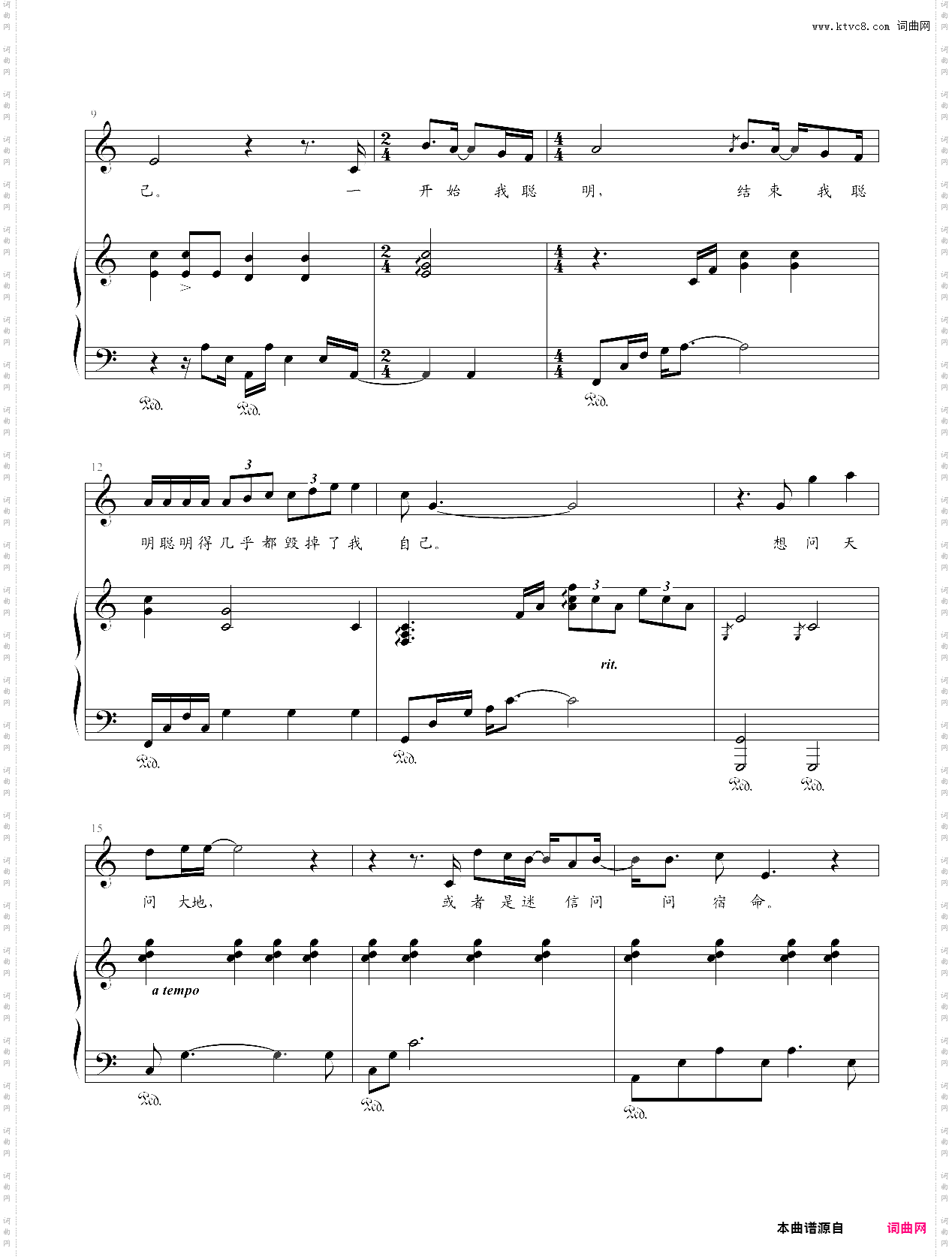 夜夜夜夜弹唱版