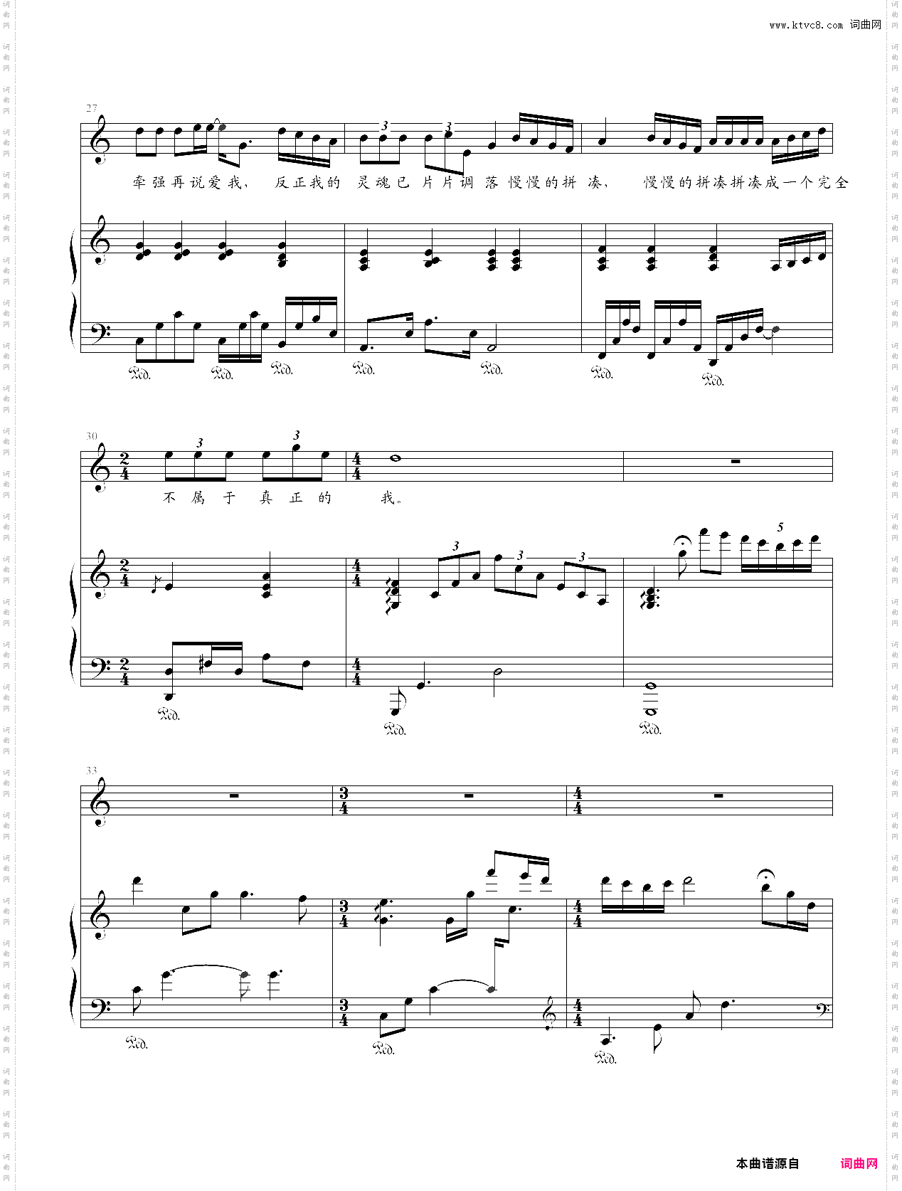 夜夜夜夜弹唱版