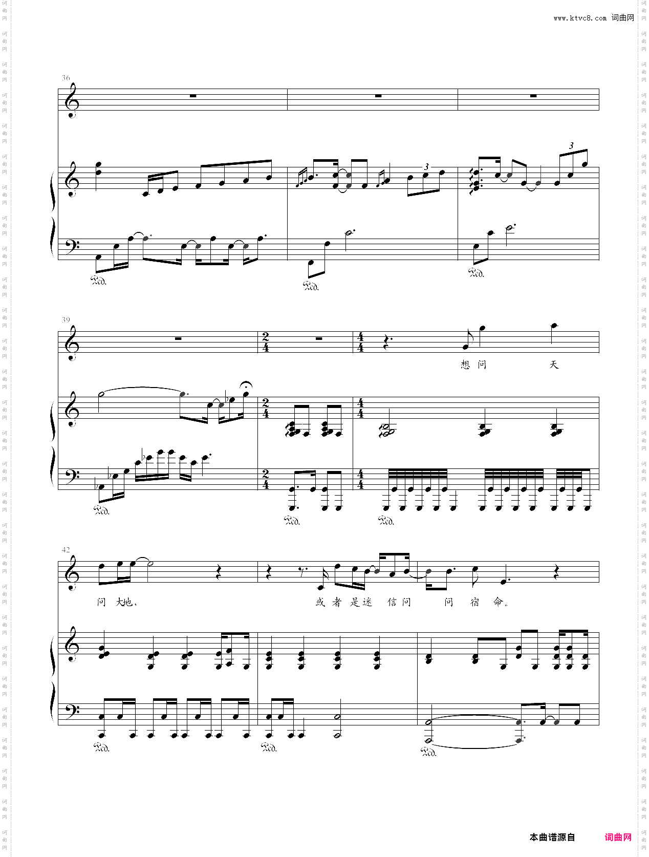 夜夜夜夜弹唱版