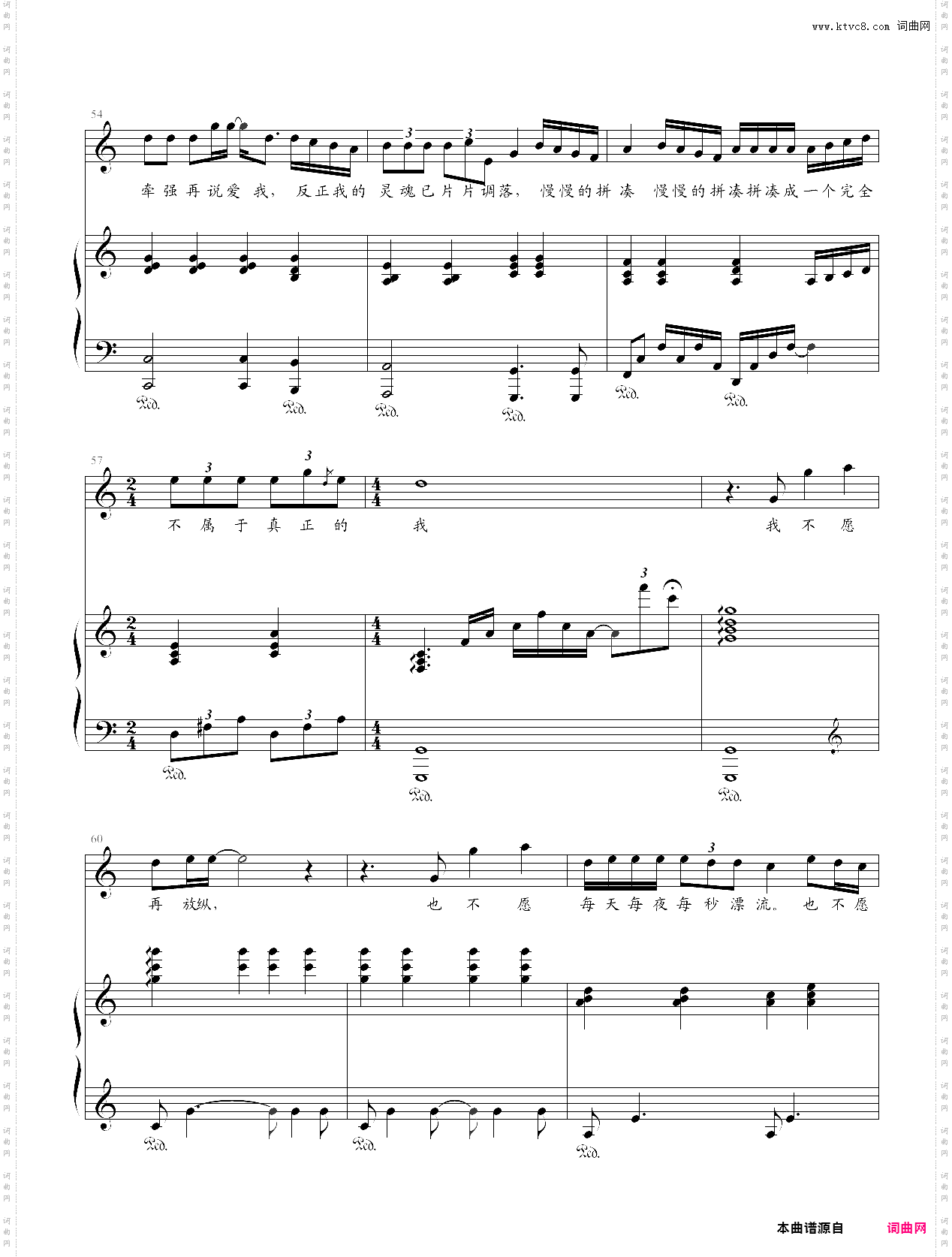 夜夜夜夜弹唱版