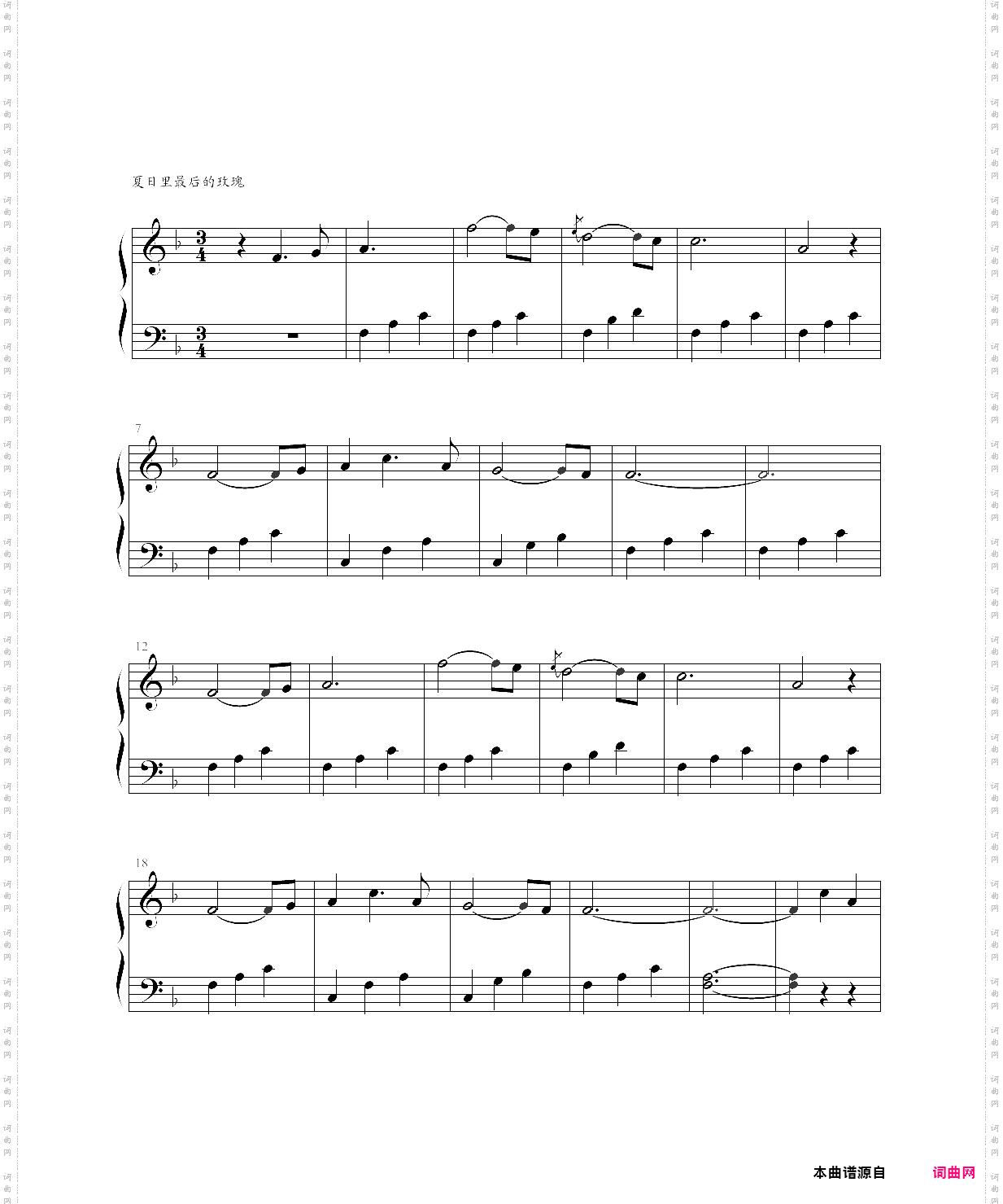 夏日里最后的玫瑰