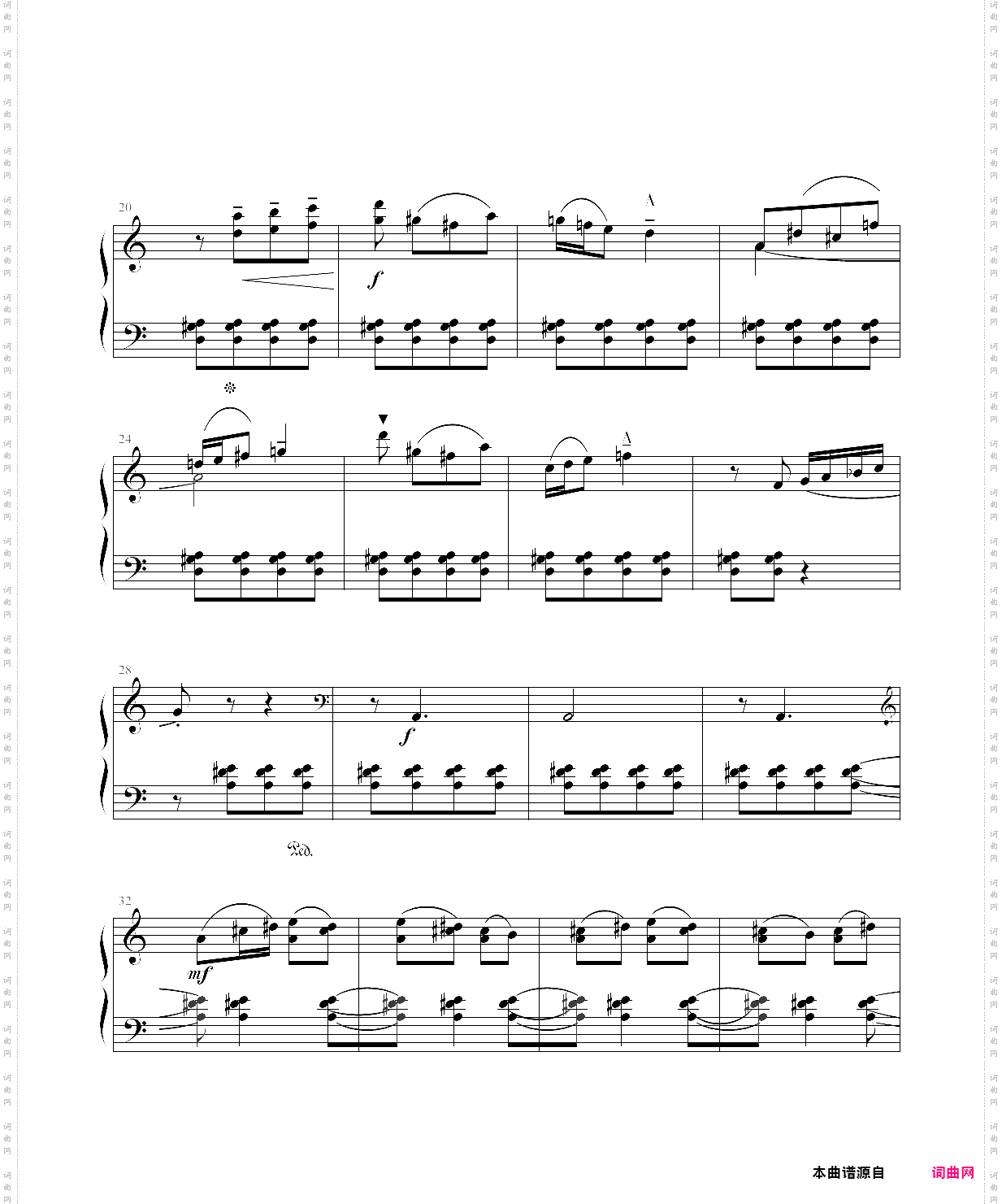 固定低音巴托克