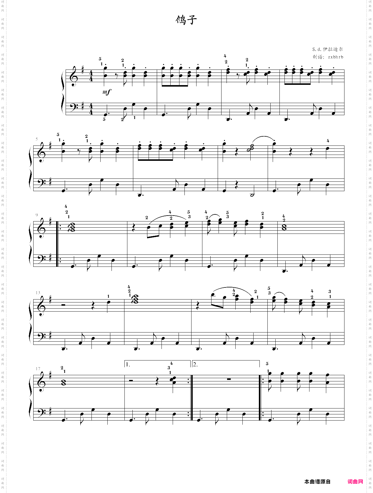 鸽子中级简易版