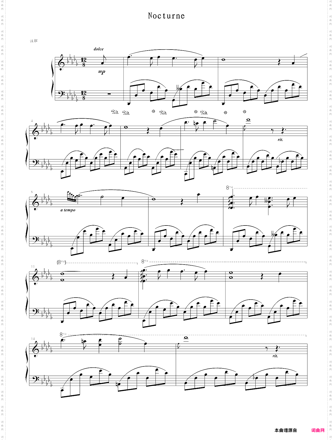 夜曲