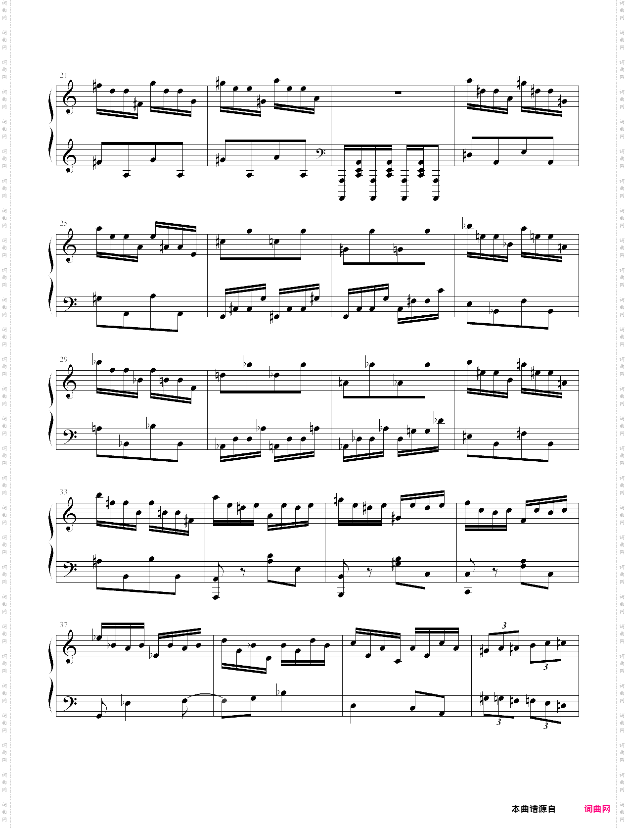 “狼兔”练习曲