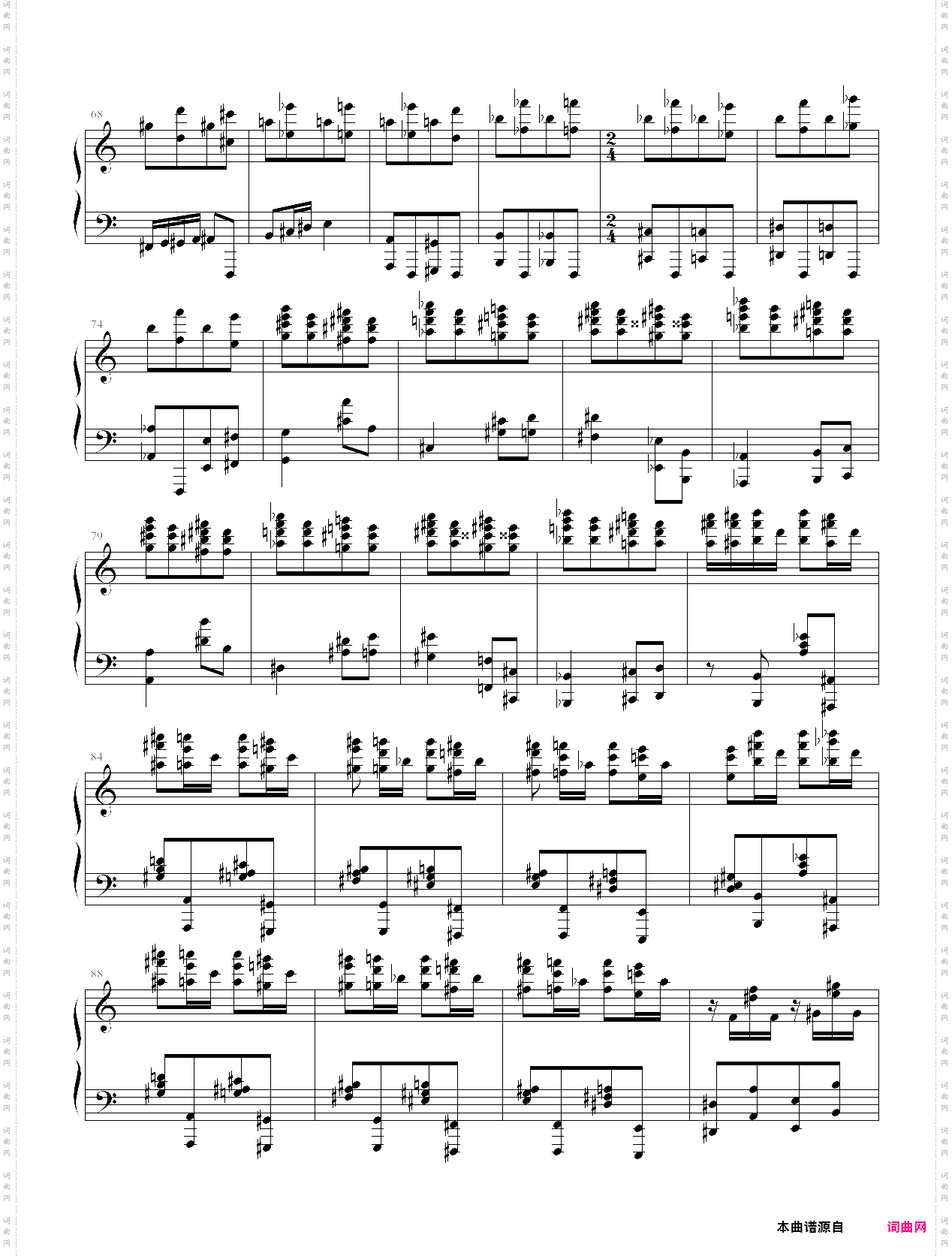 “狼兔”练习曲