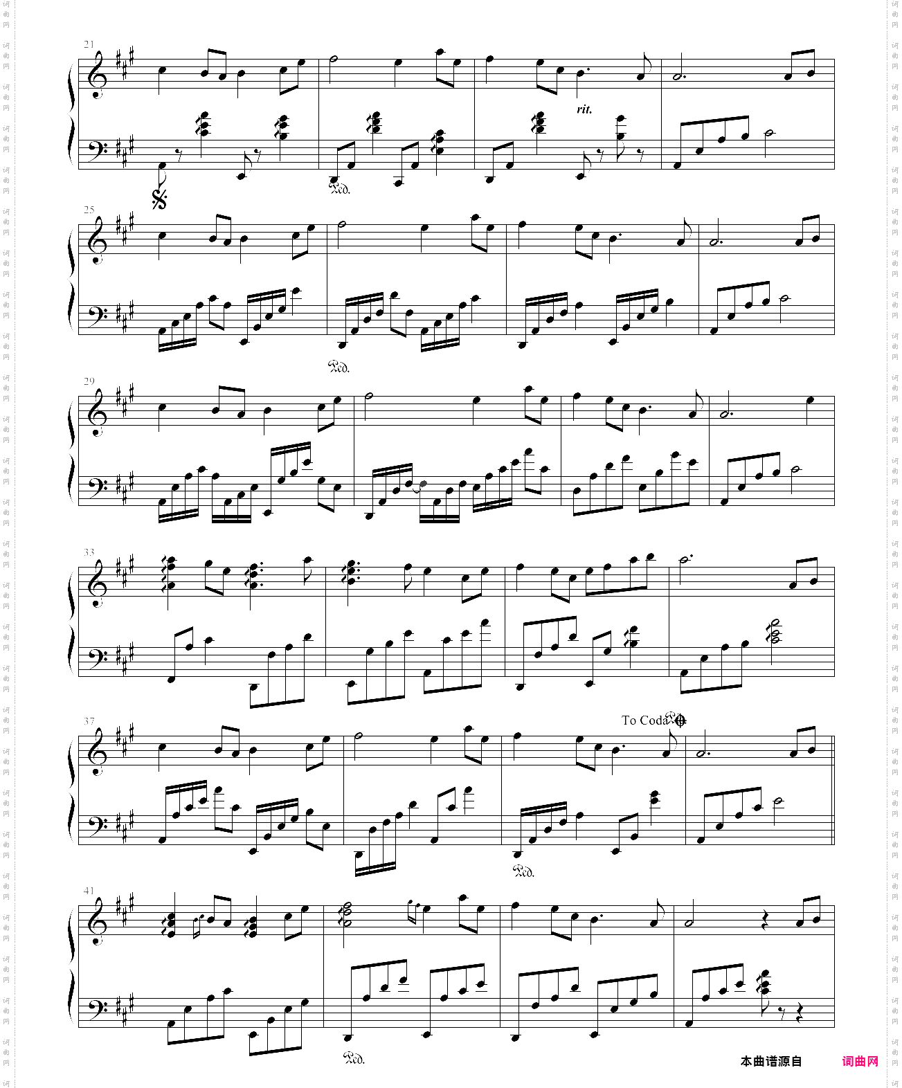 班得瑞 绿野仙踪 莎莉花园