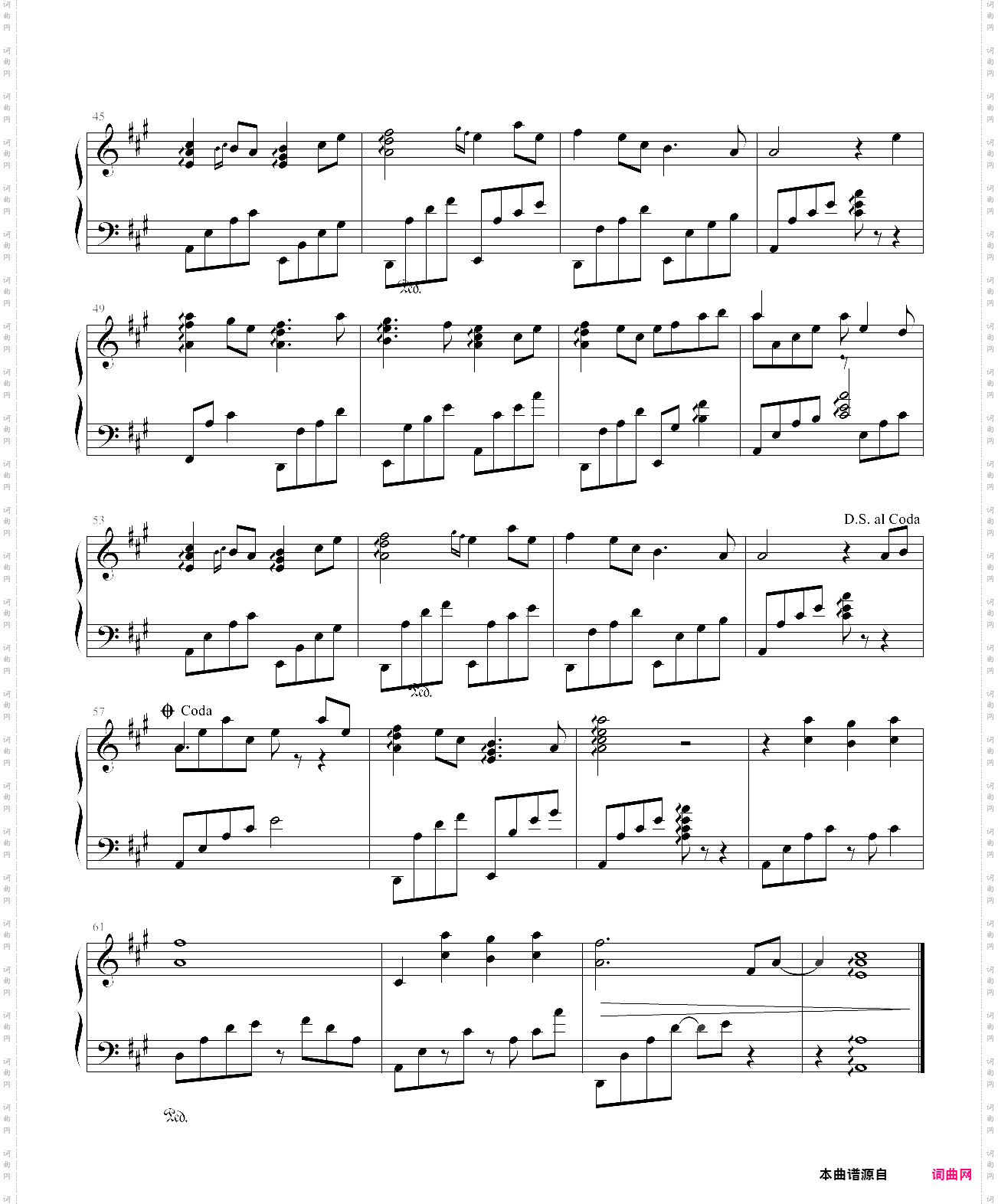 班得瑞 绿野仙踪 莎莉花园