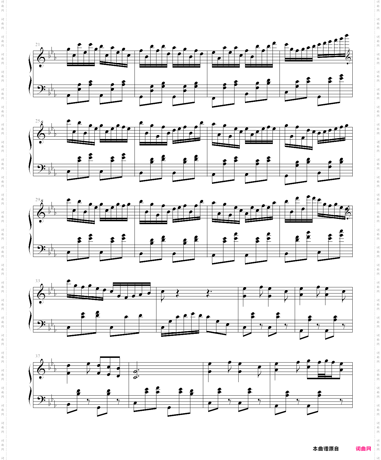 黑蔷薇组曲⒋暗夜之舞姬