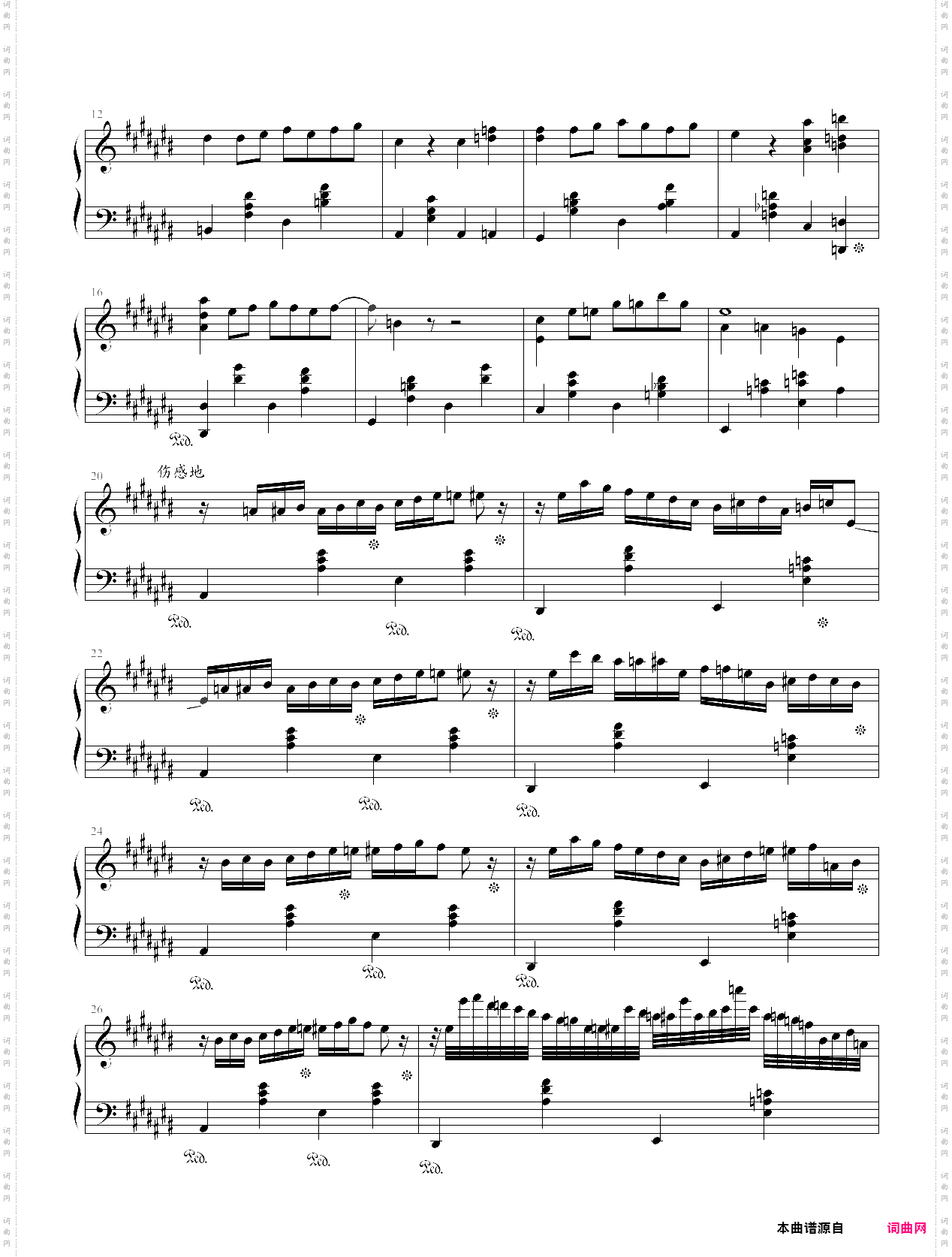 大夜洛之夜曲