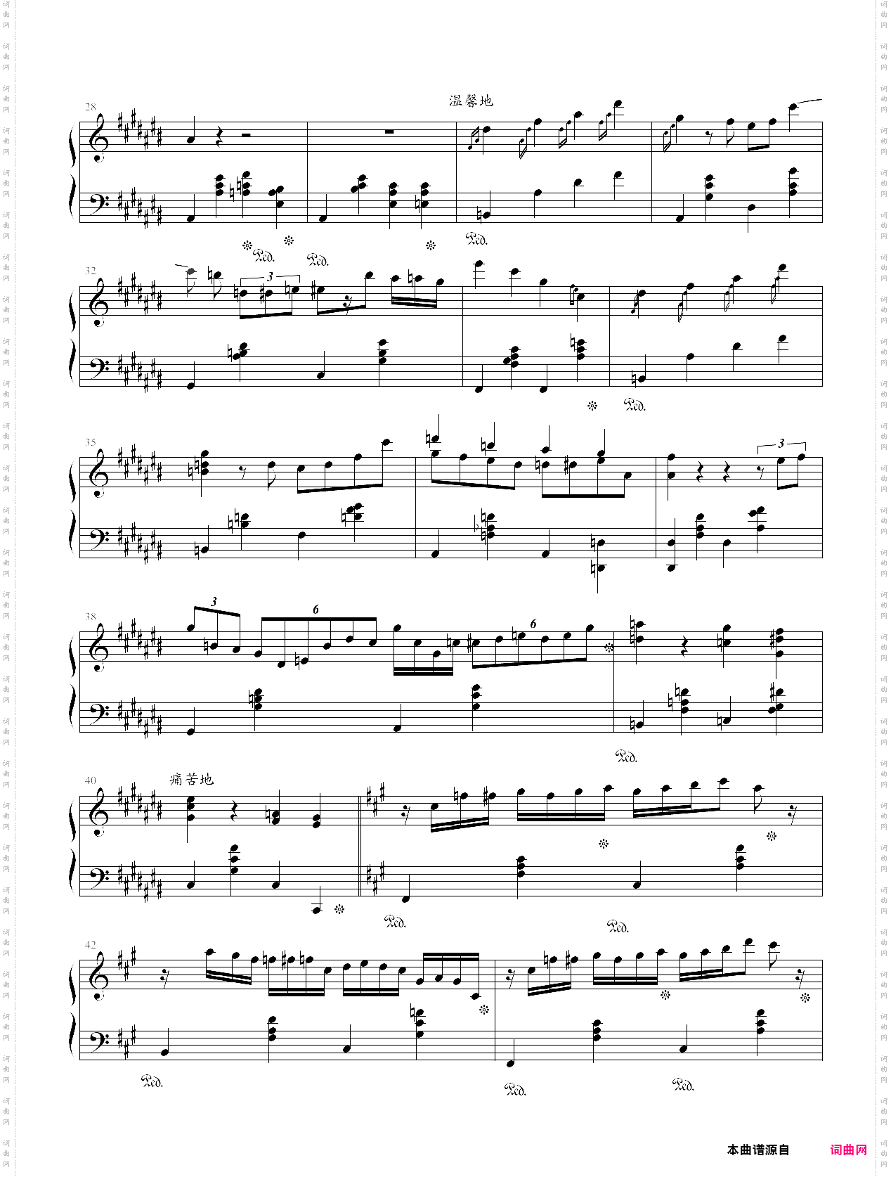 大夜洛之夜曲