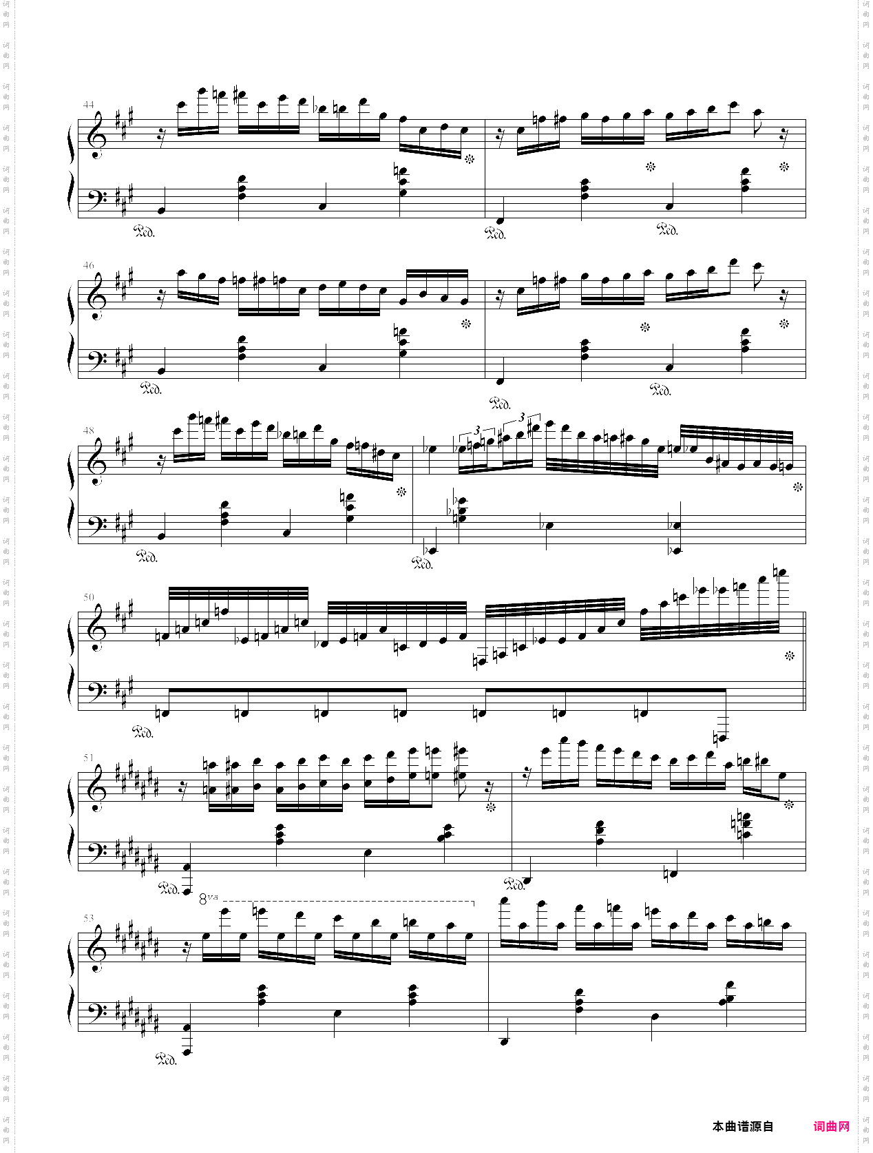 大夜洛之夜曲