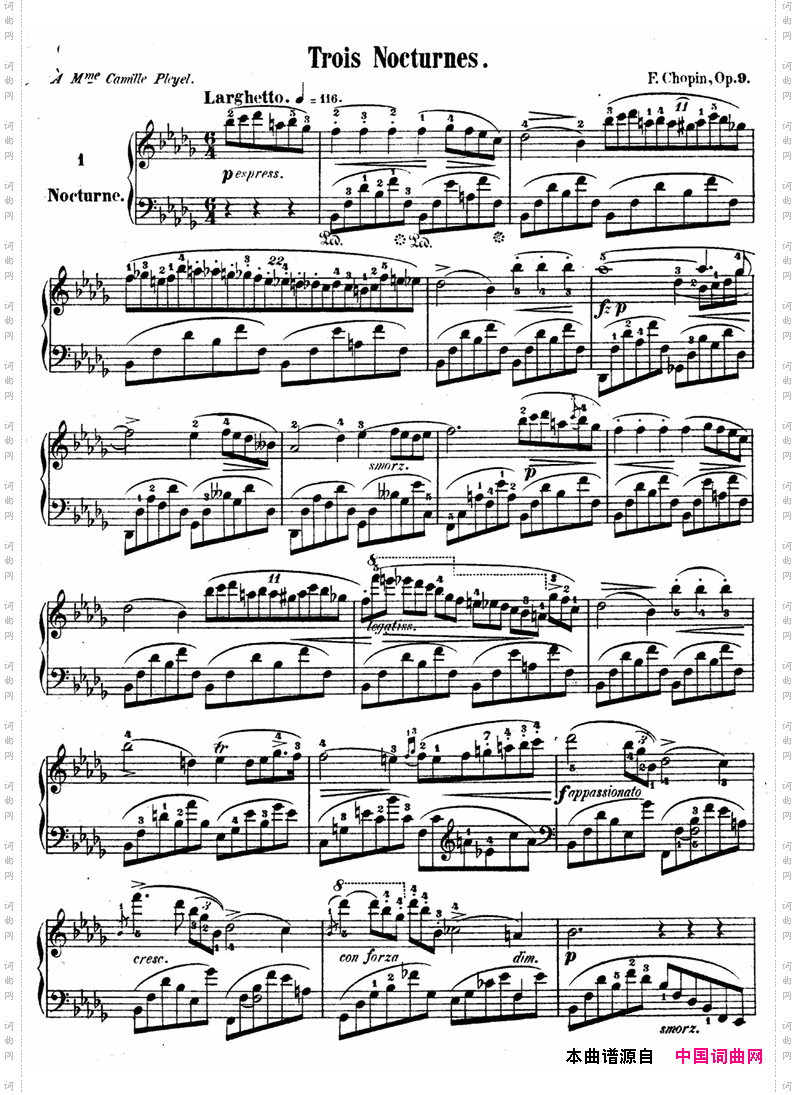 夜曲_献给卡米尔普莱耶尔夫人