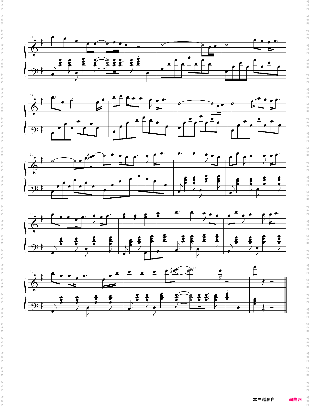 木々の声と日々のざわめき