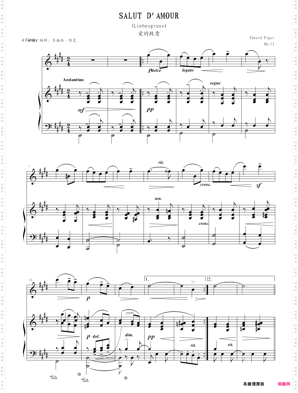 爱的致意 salut damour