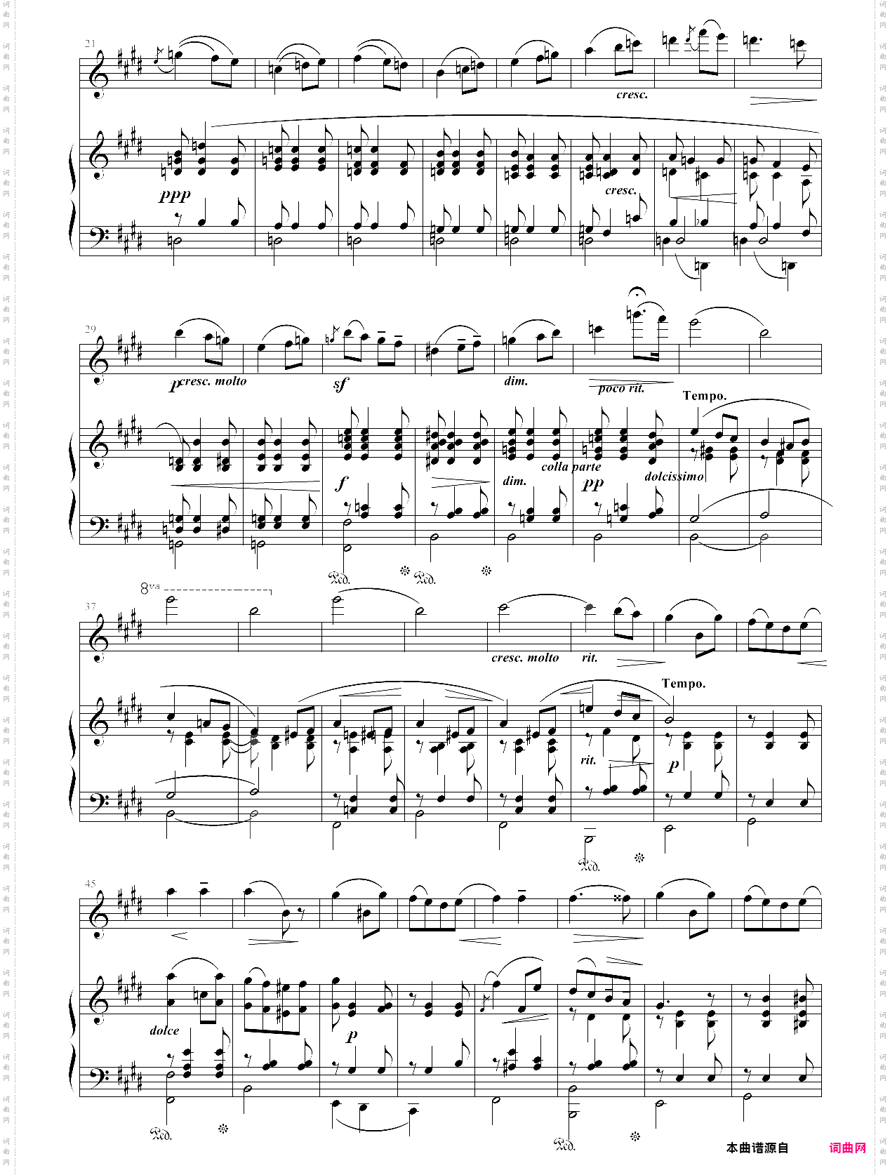 爱的致意 salut damour