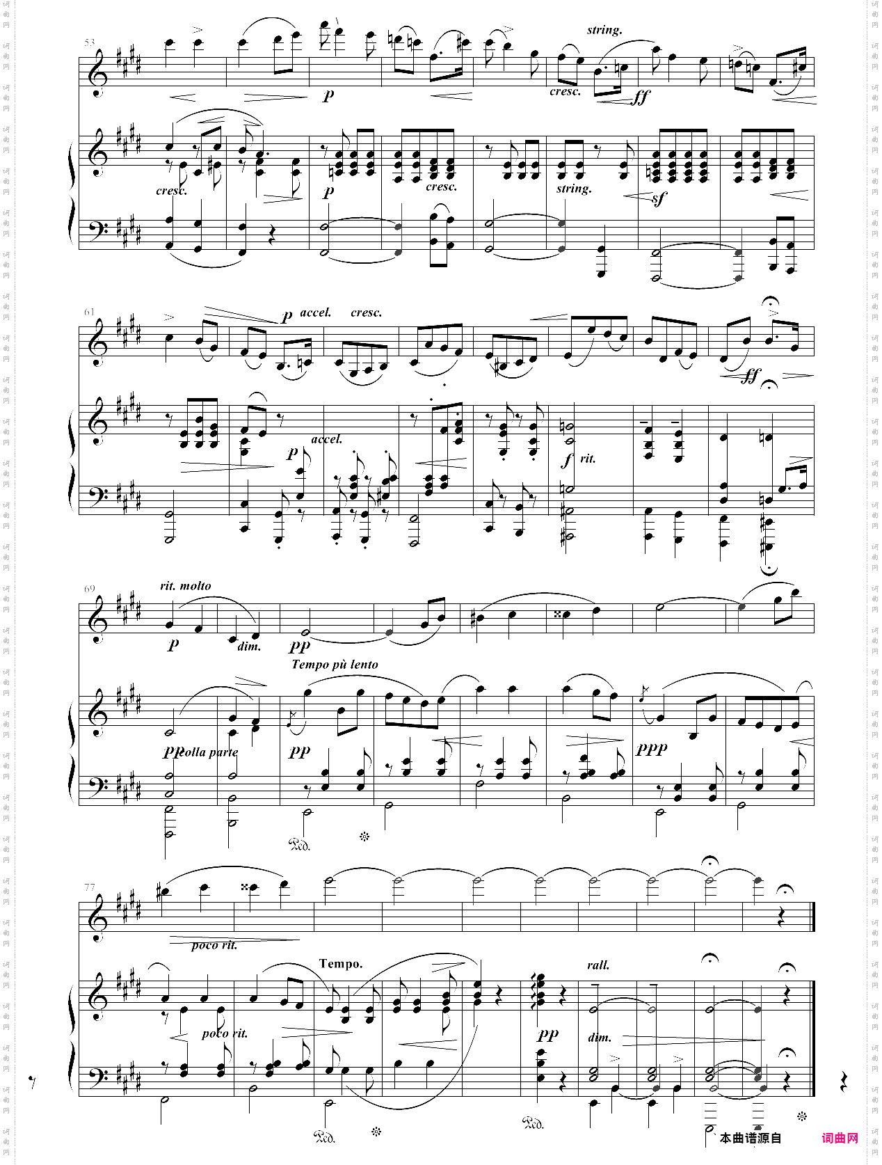 爱的致意 salut damour