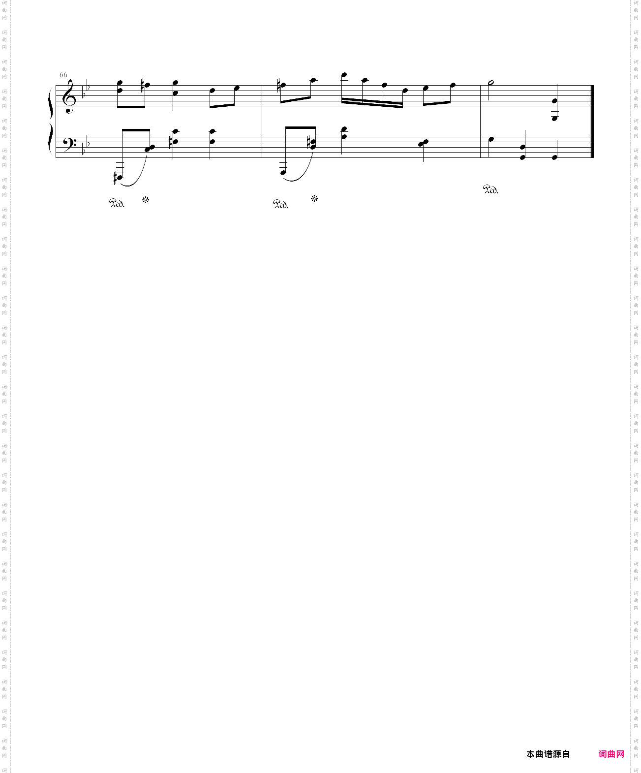 大森林里的小狐狸