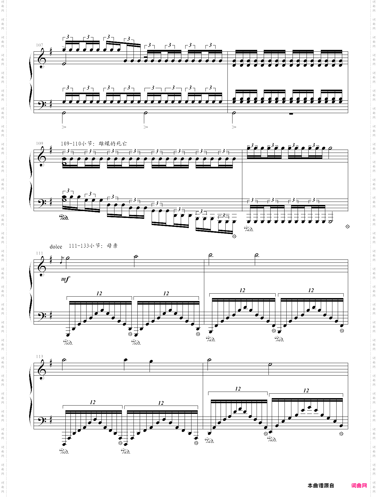 献给五位英雄-蝴蝶练习曲