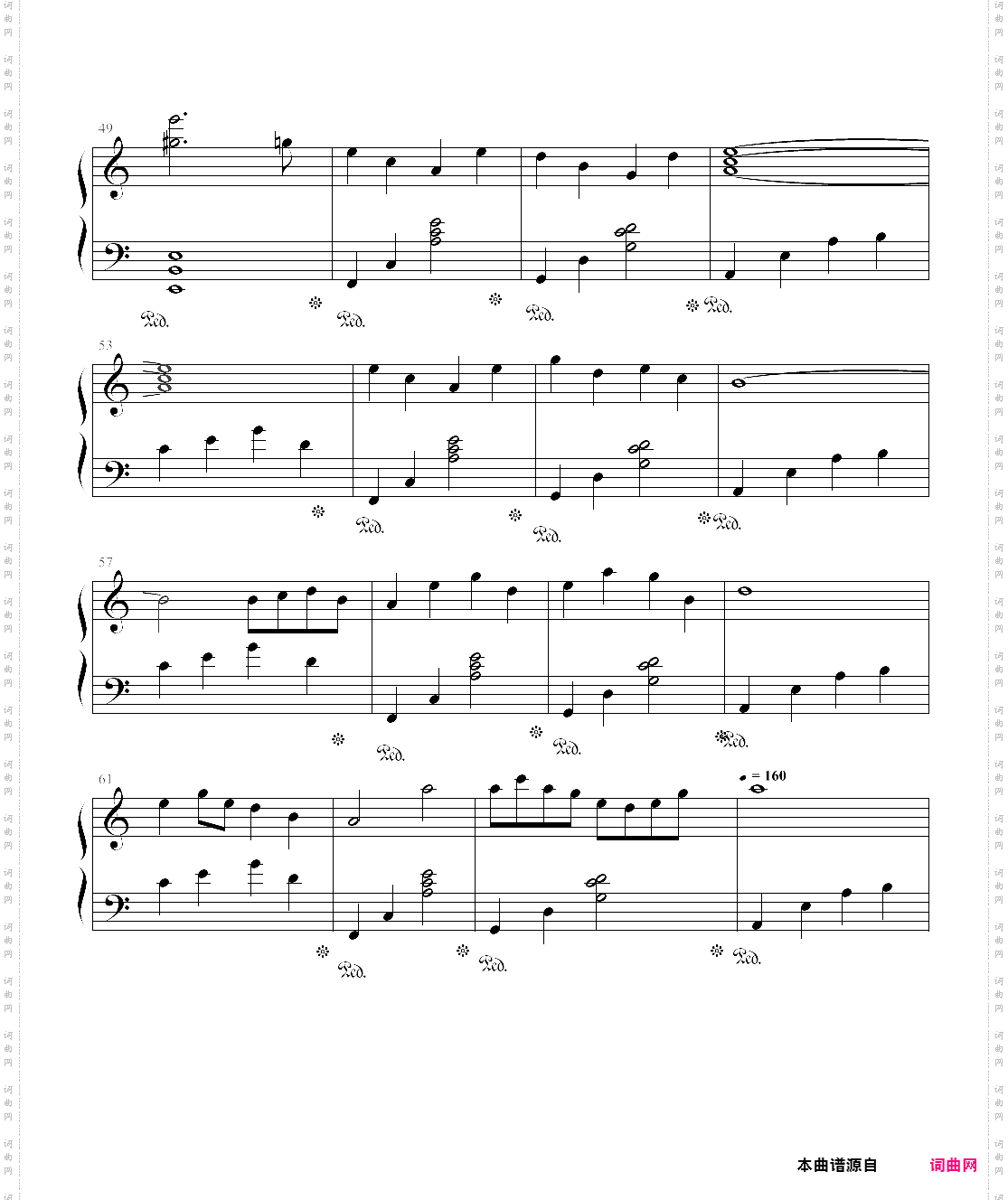 回来了!回来了!!!