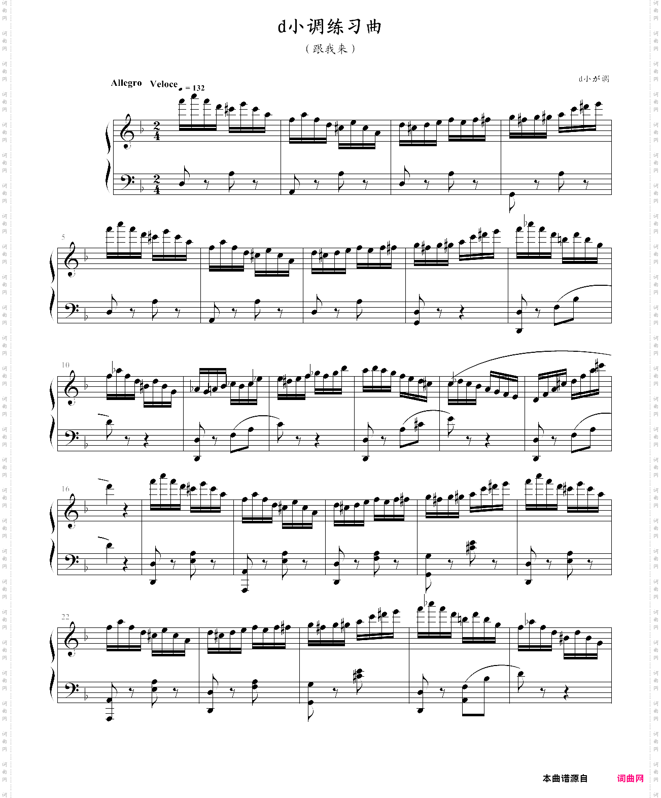 d小调练习曲一