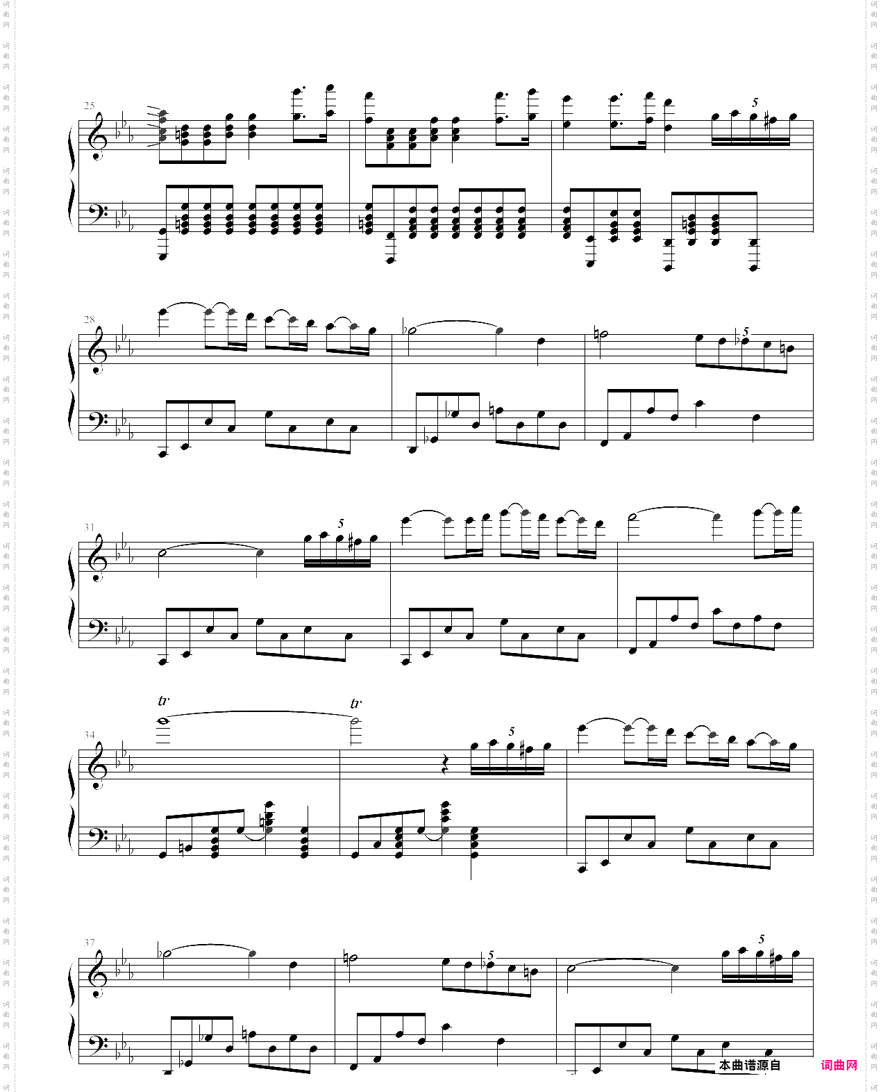 亚马逊之魂- amazonic