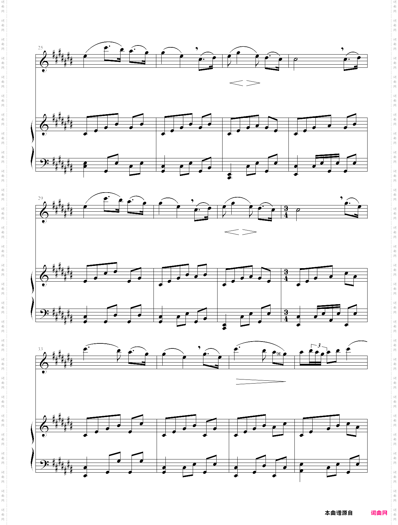 夏日里的最后一朵玫瑰