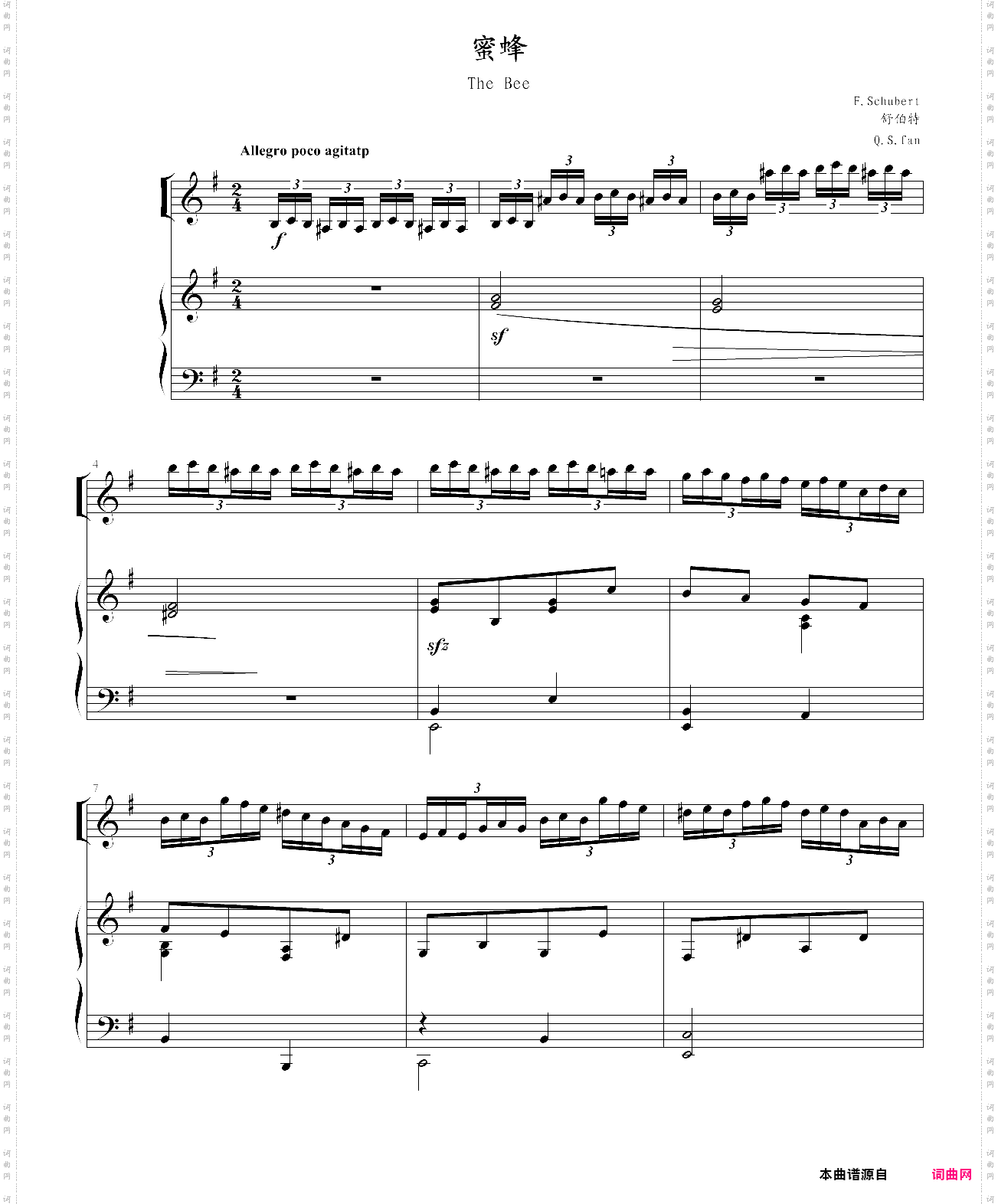 舒伯特的小提琴曲《蜜蜂》