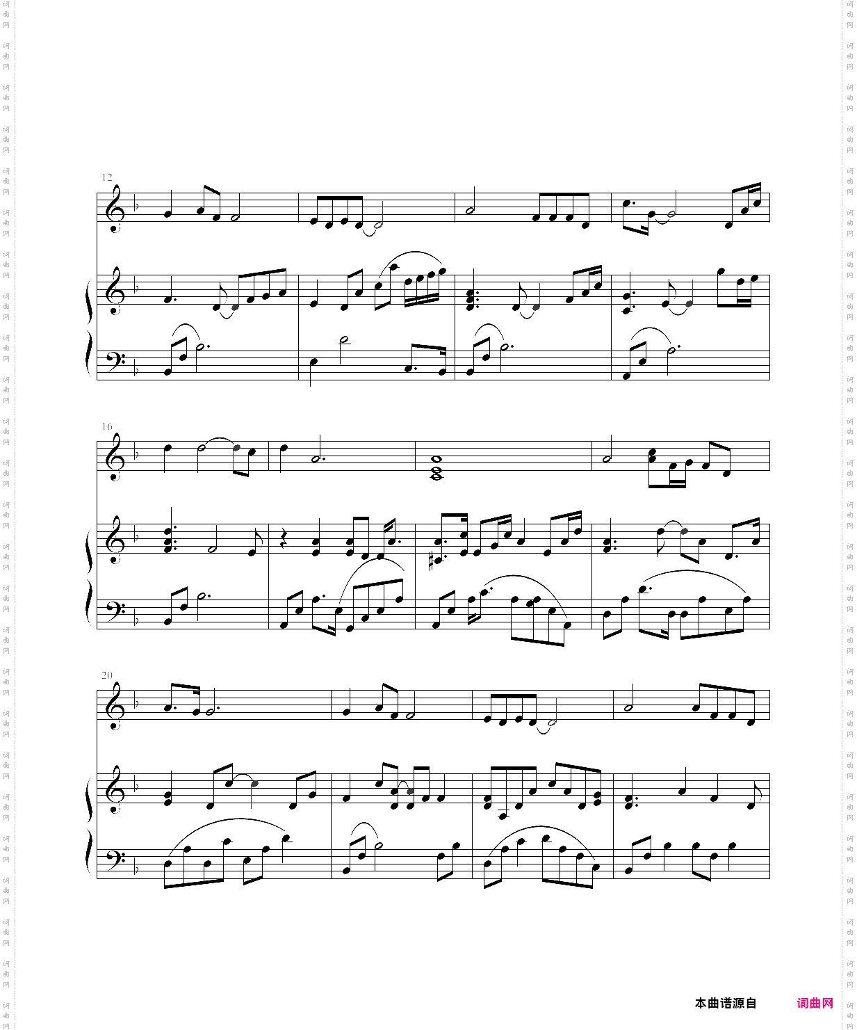 想你的夜晚没有你