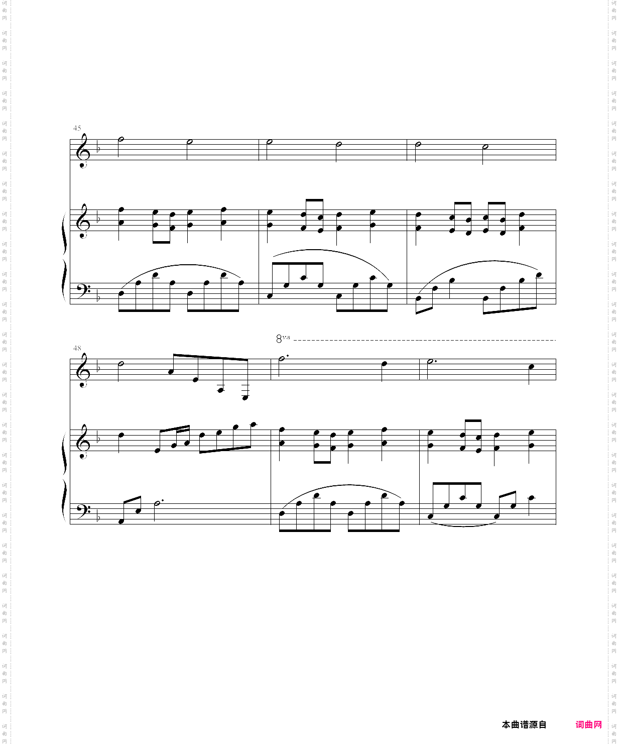 想你的夜晚没有你