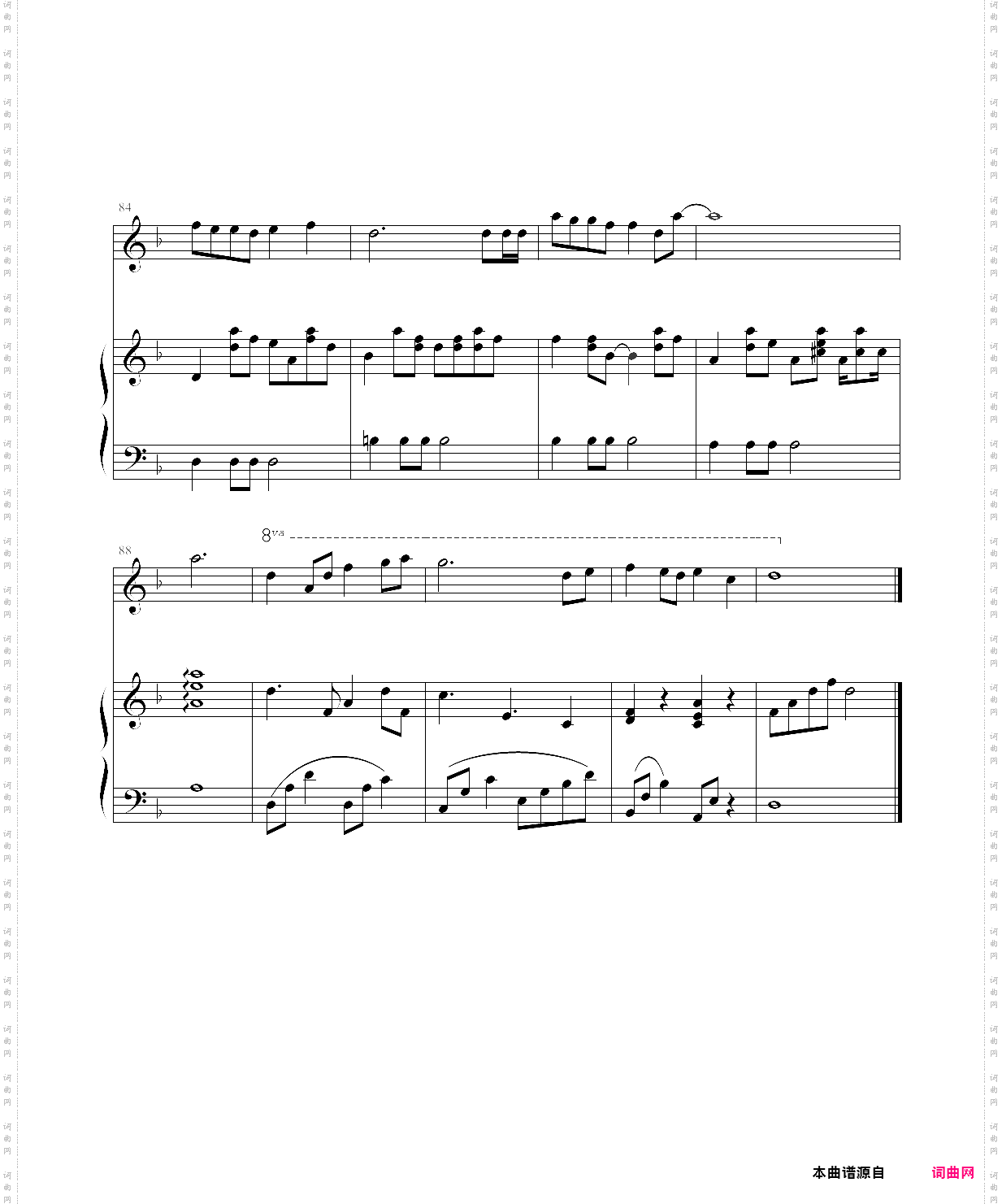 想你的夜晚没有你