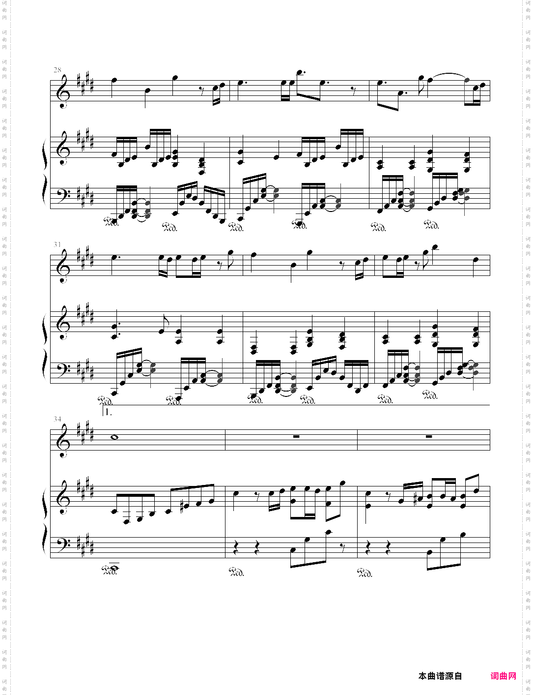 口袋的天空弹唱版，张韶涵
