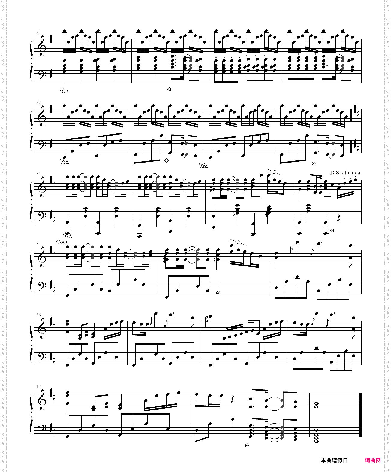 《summer》菊次郎的夏天 菊次郎の夏