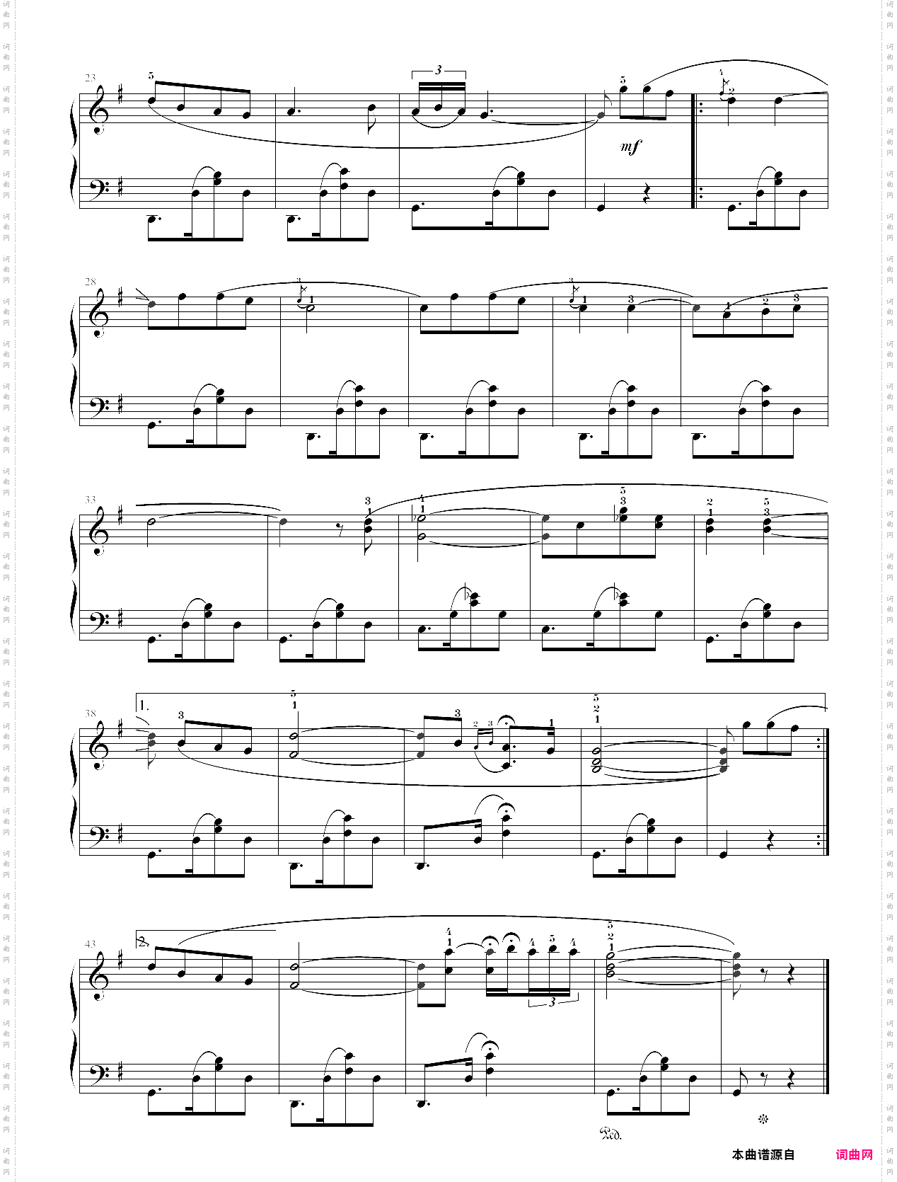 11·高师钢基二啊,我的太阳