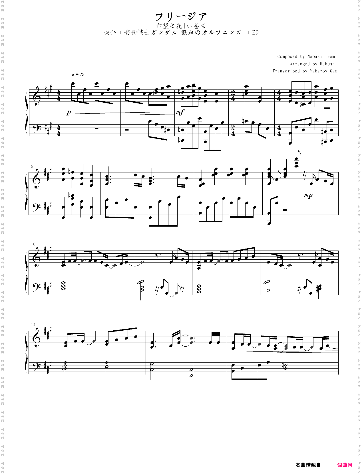 希望之花 フリージア