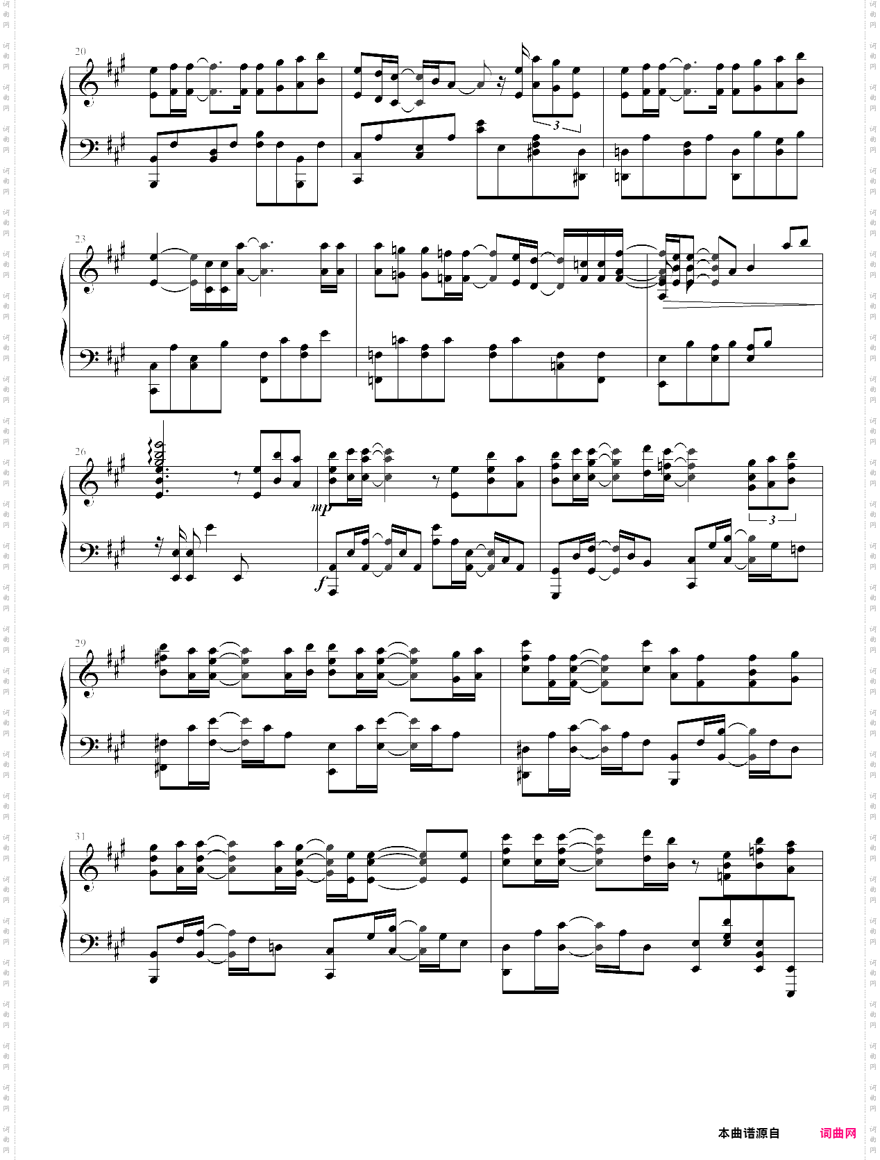 希望之花 フリージア