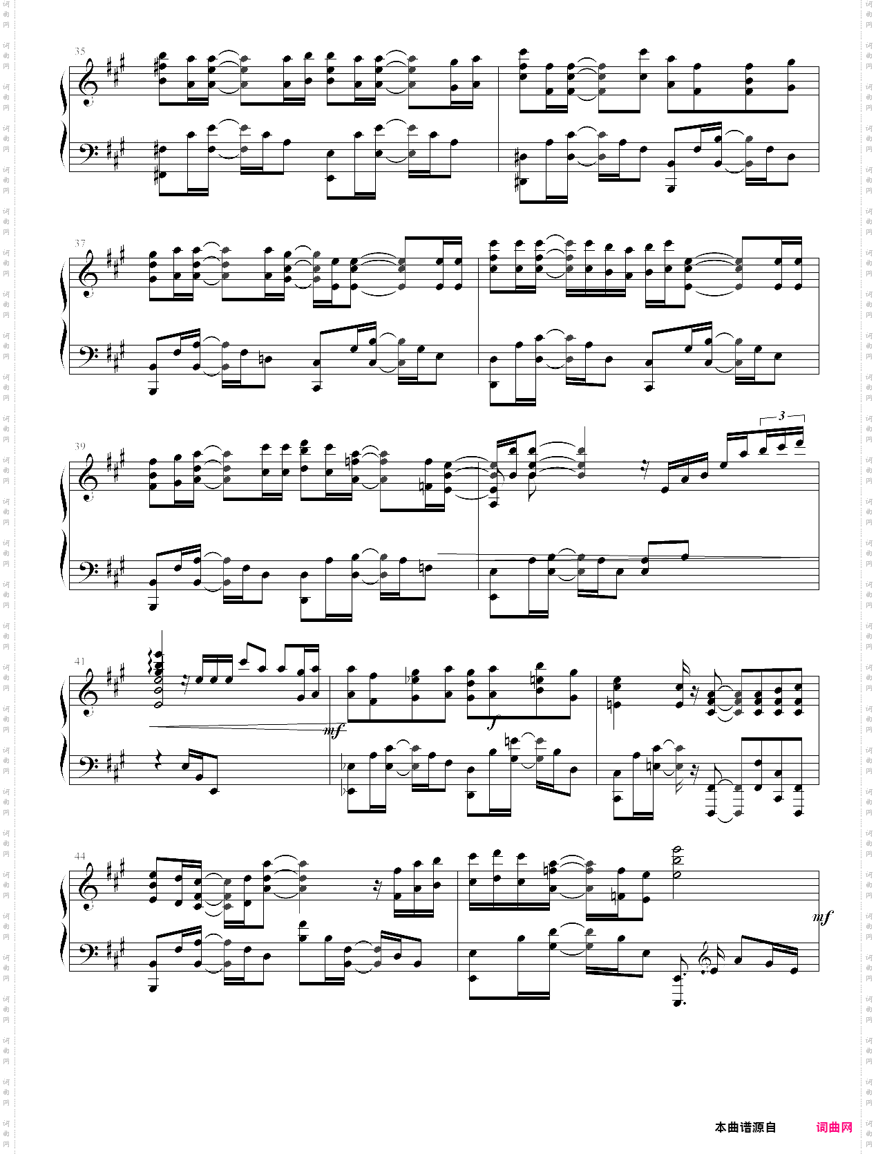 希望之花 フリージア