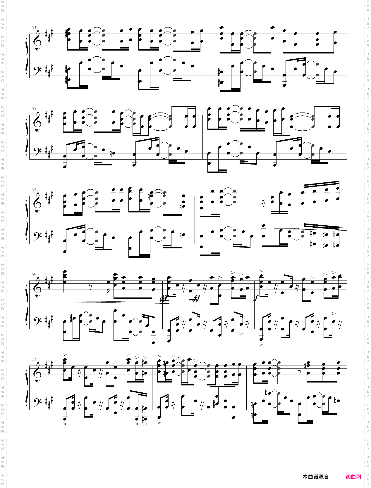 希望之花 フリージア