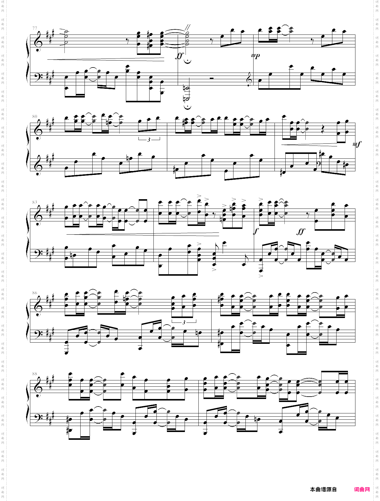 希望之花 フリージア