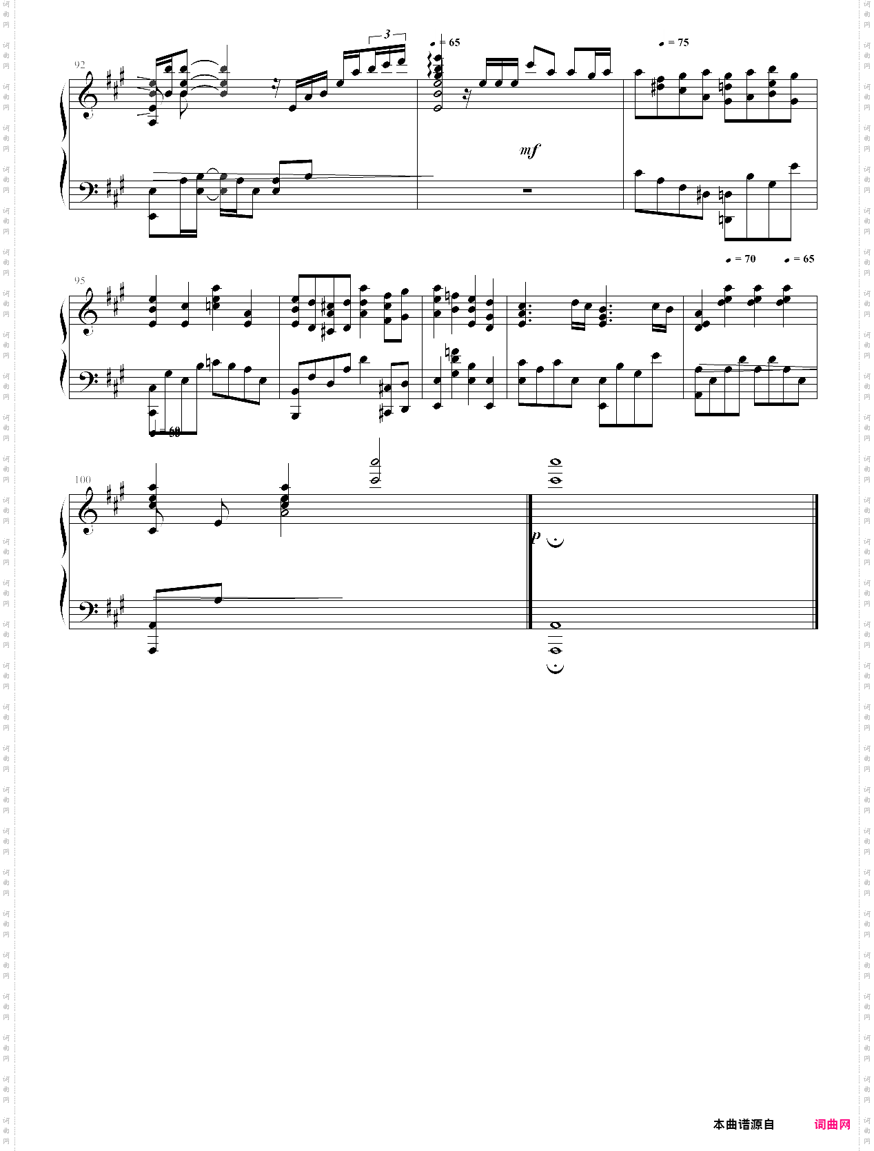 希望之花 フリージア