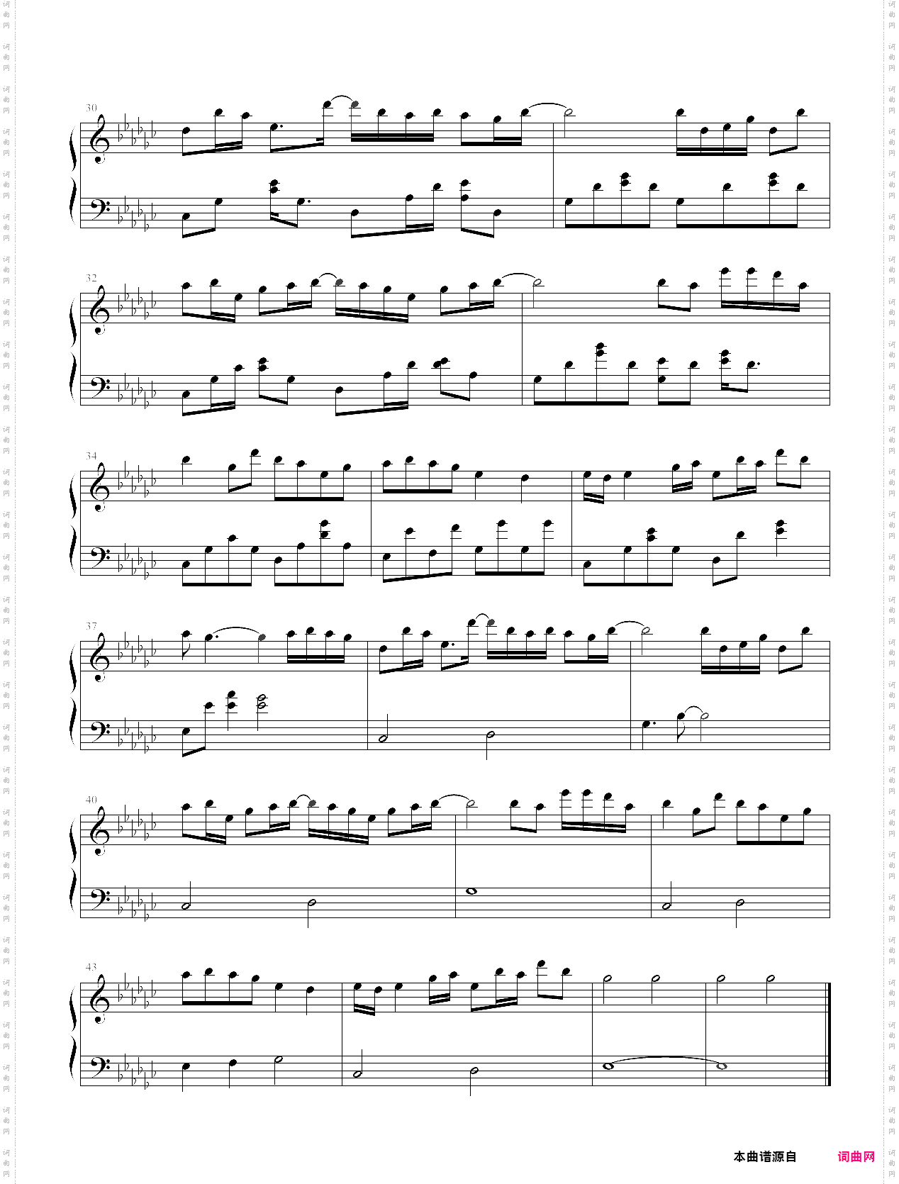 bamboo 竹-piano masters
