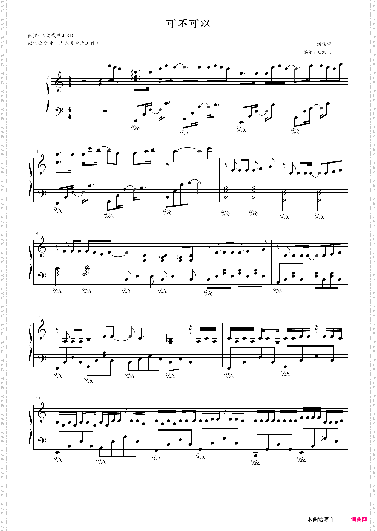 可不可以抖音热门歌曲，张紫豪